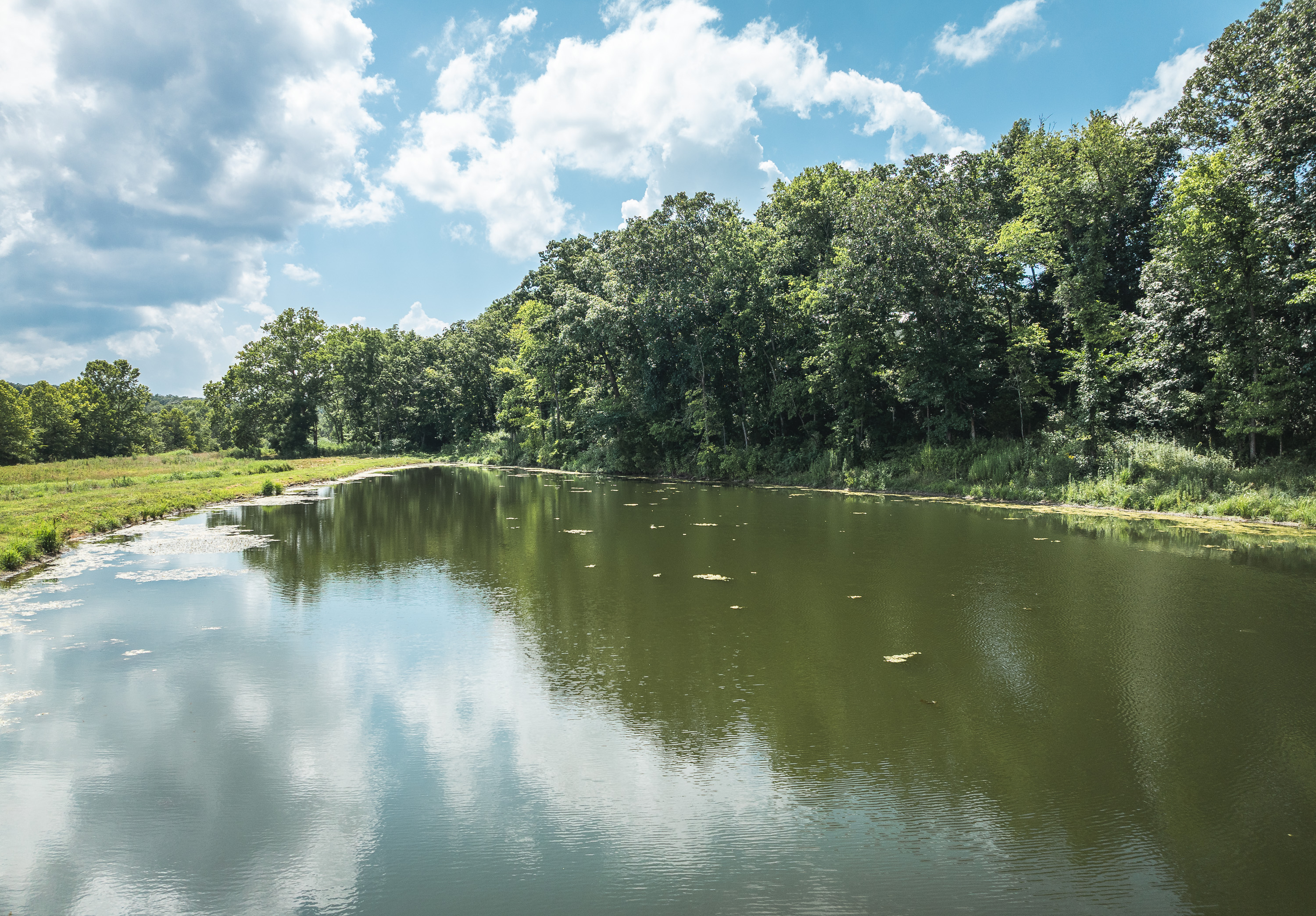 Gasconade Angus Ranch