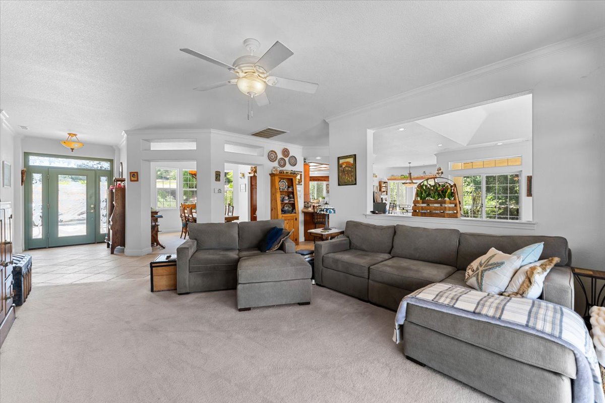 Alger Vineyards and More