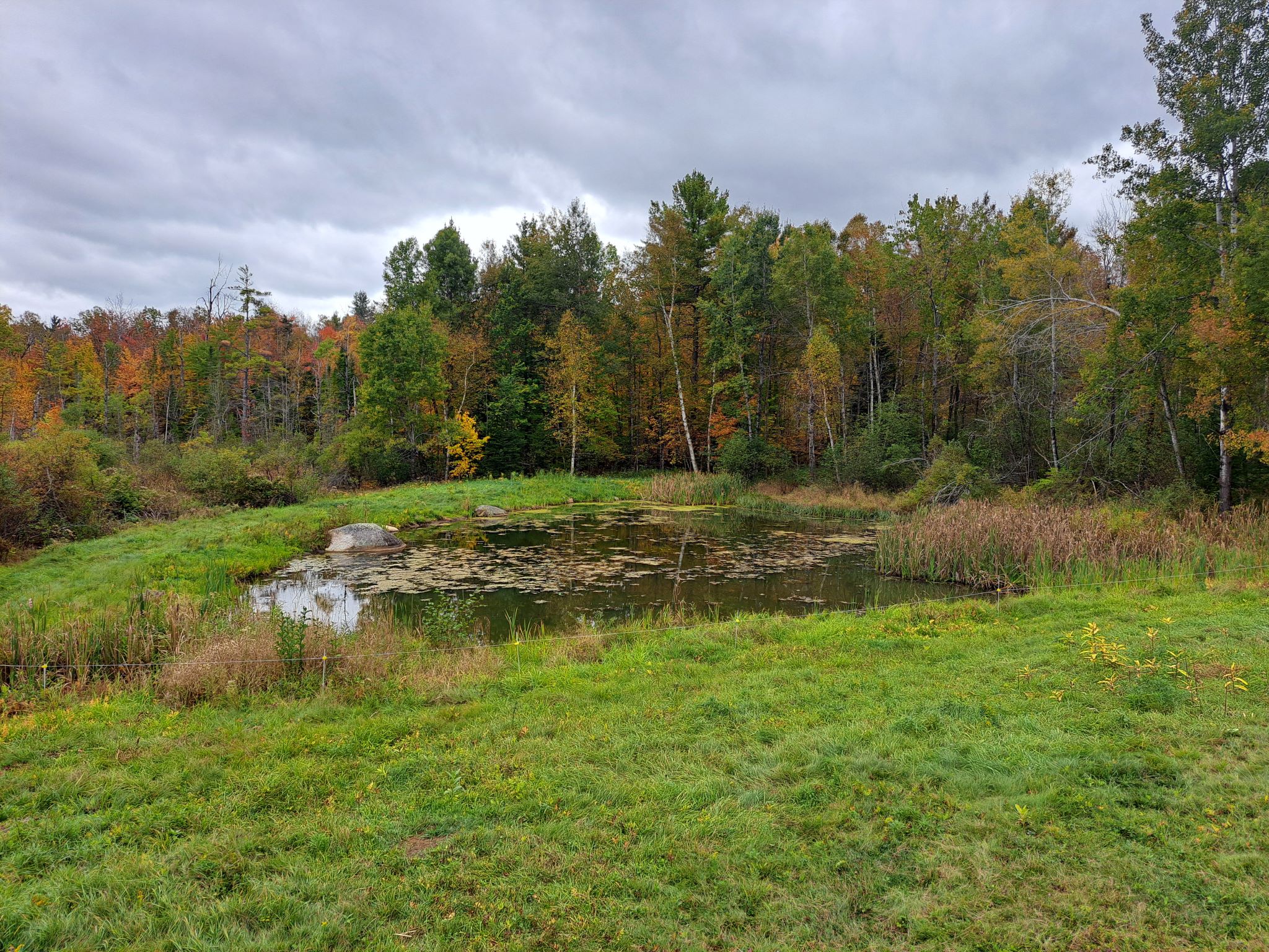 Listing Image 64