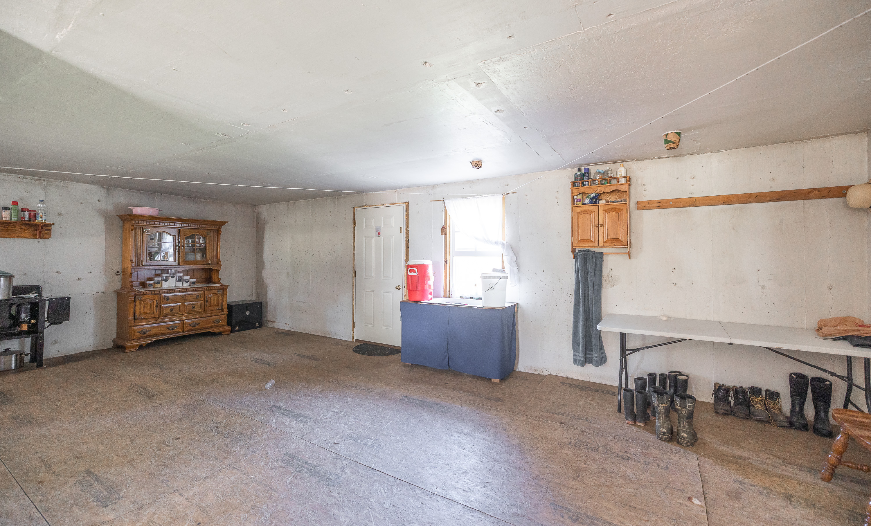 Cage Free Chicken Farm