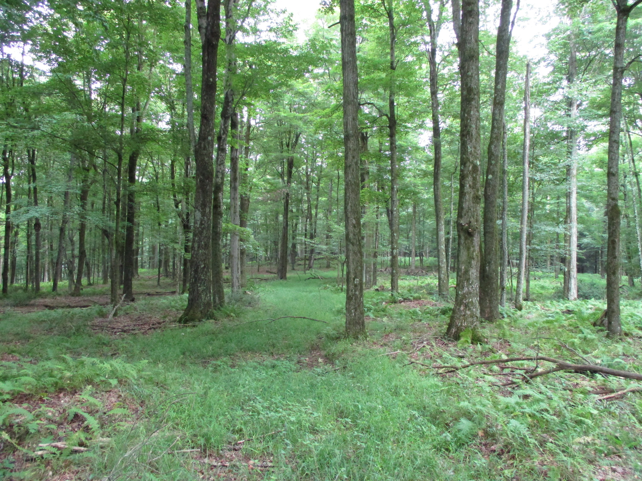 Listing Image 33