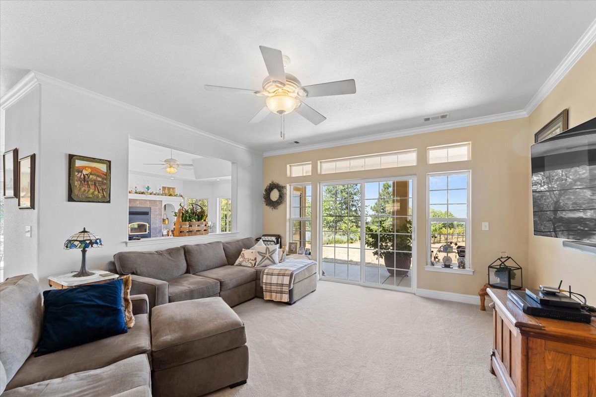 Alger Vineyards and More