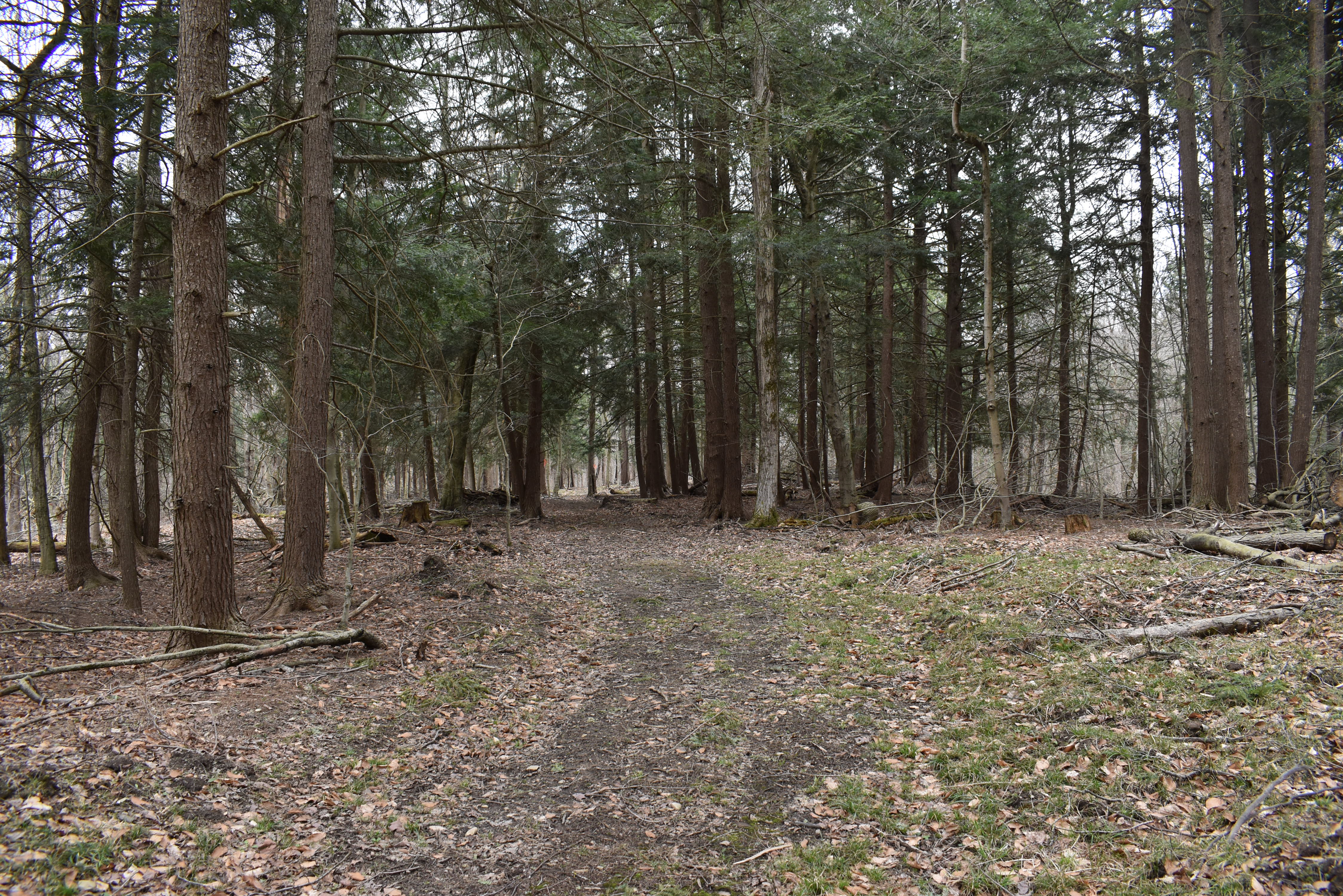 Hammond Hill Hideaway