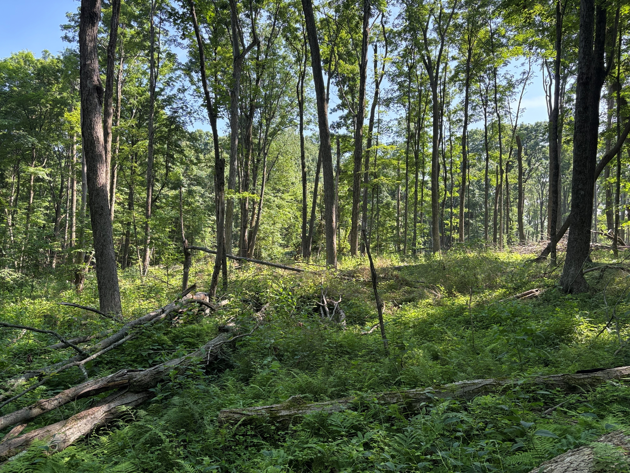 Listing Image 11
