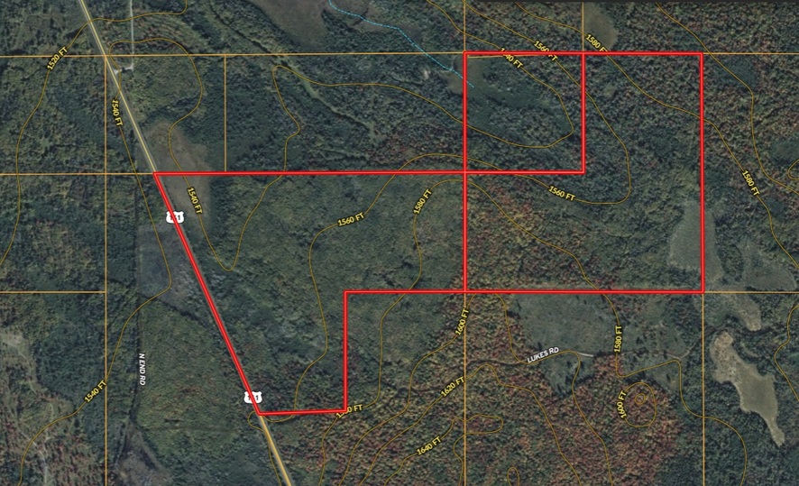 288 +/- Wooded Acreage 50175744