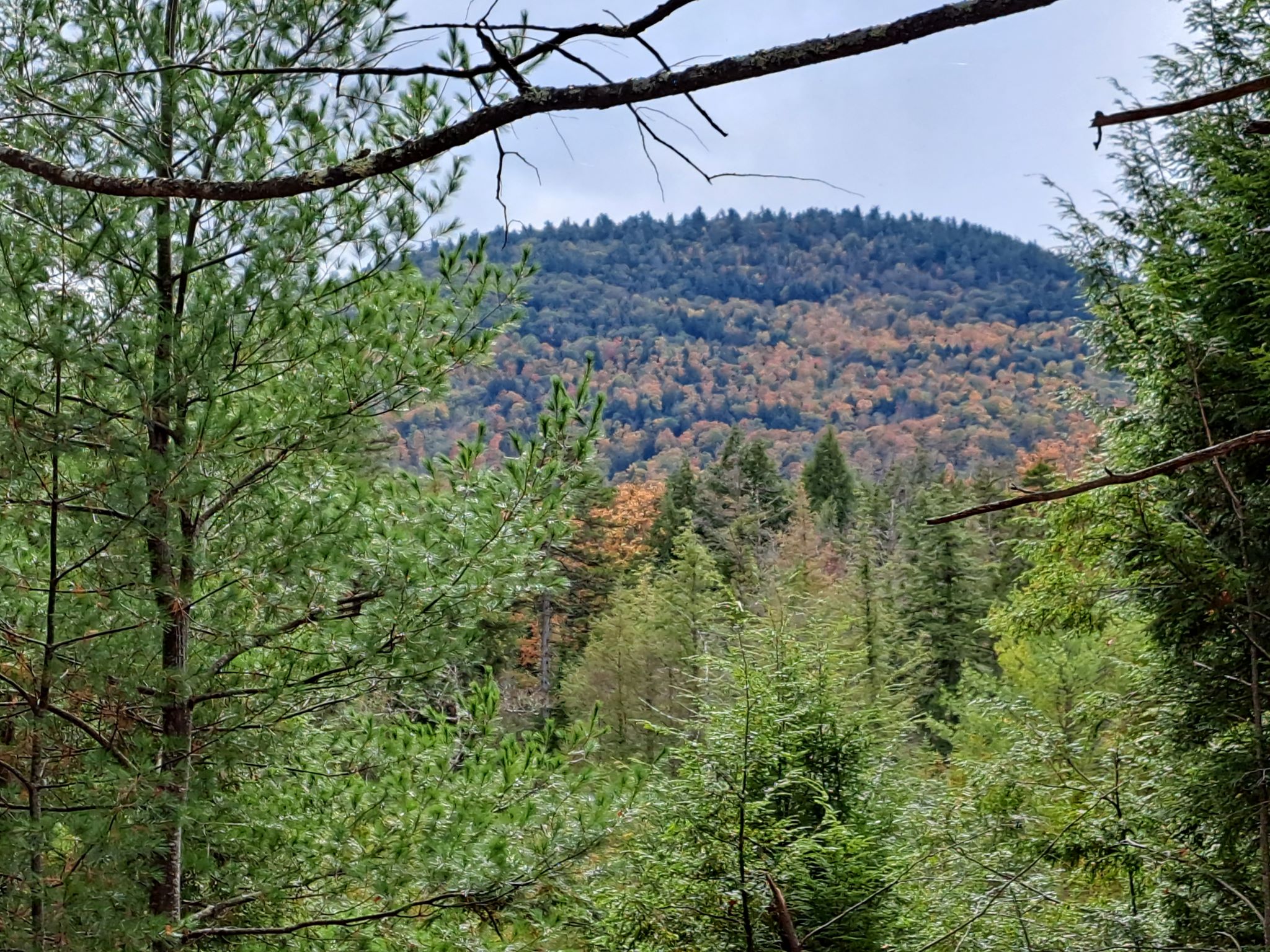 Hudson River Woods & Water