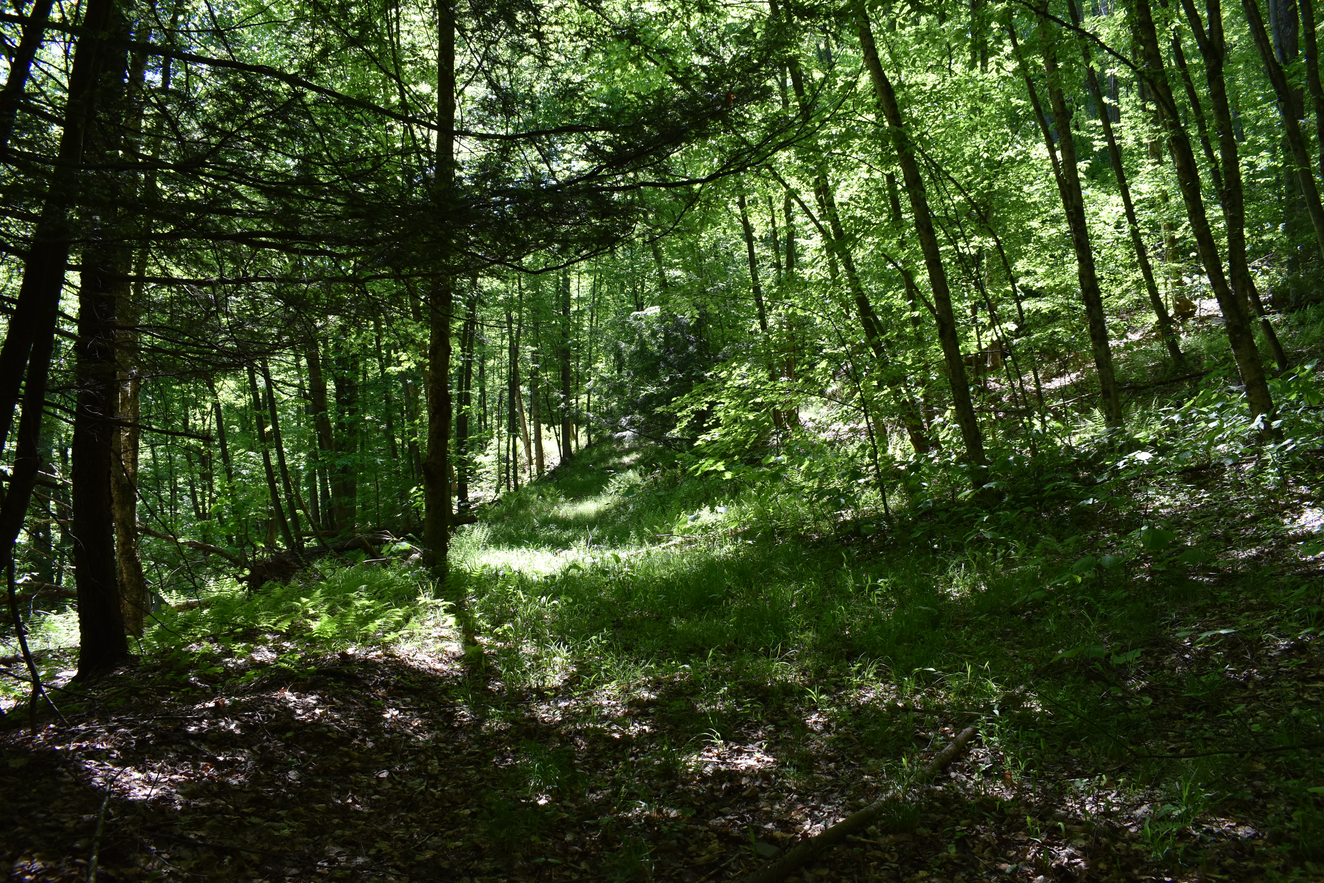 Listing Image 31