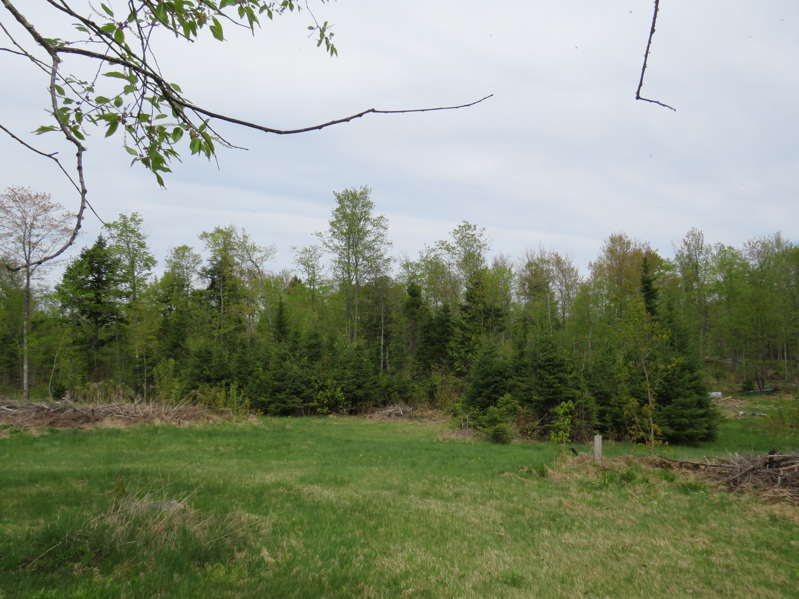 Michigan Recreational Property 50165363
