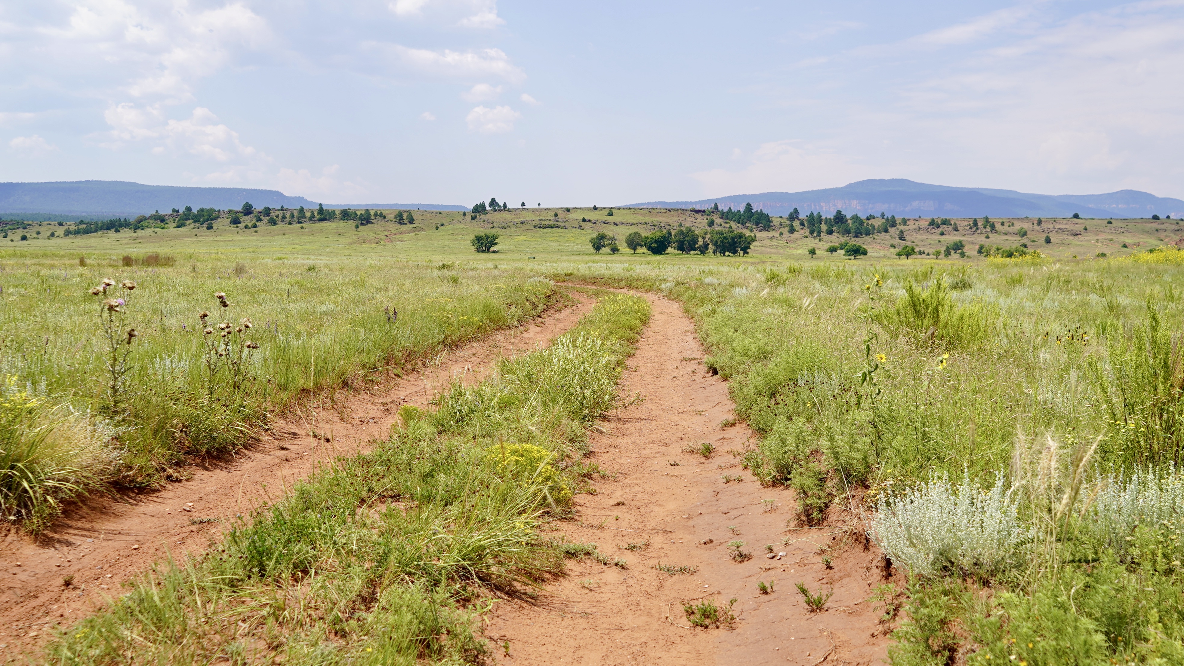 OLC Ranch