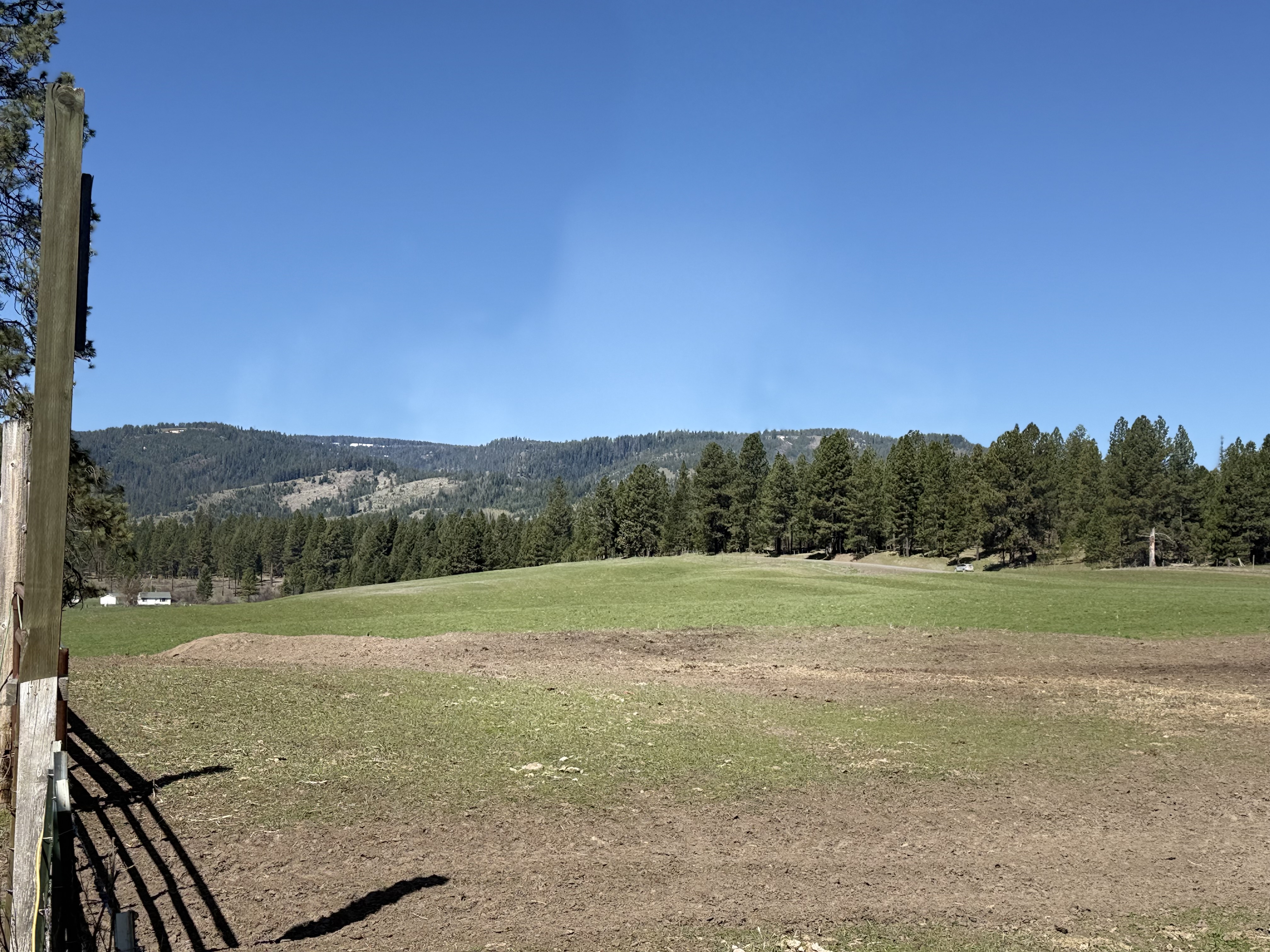 Cattle ranch/Hobby farm
