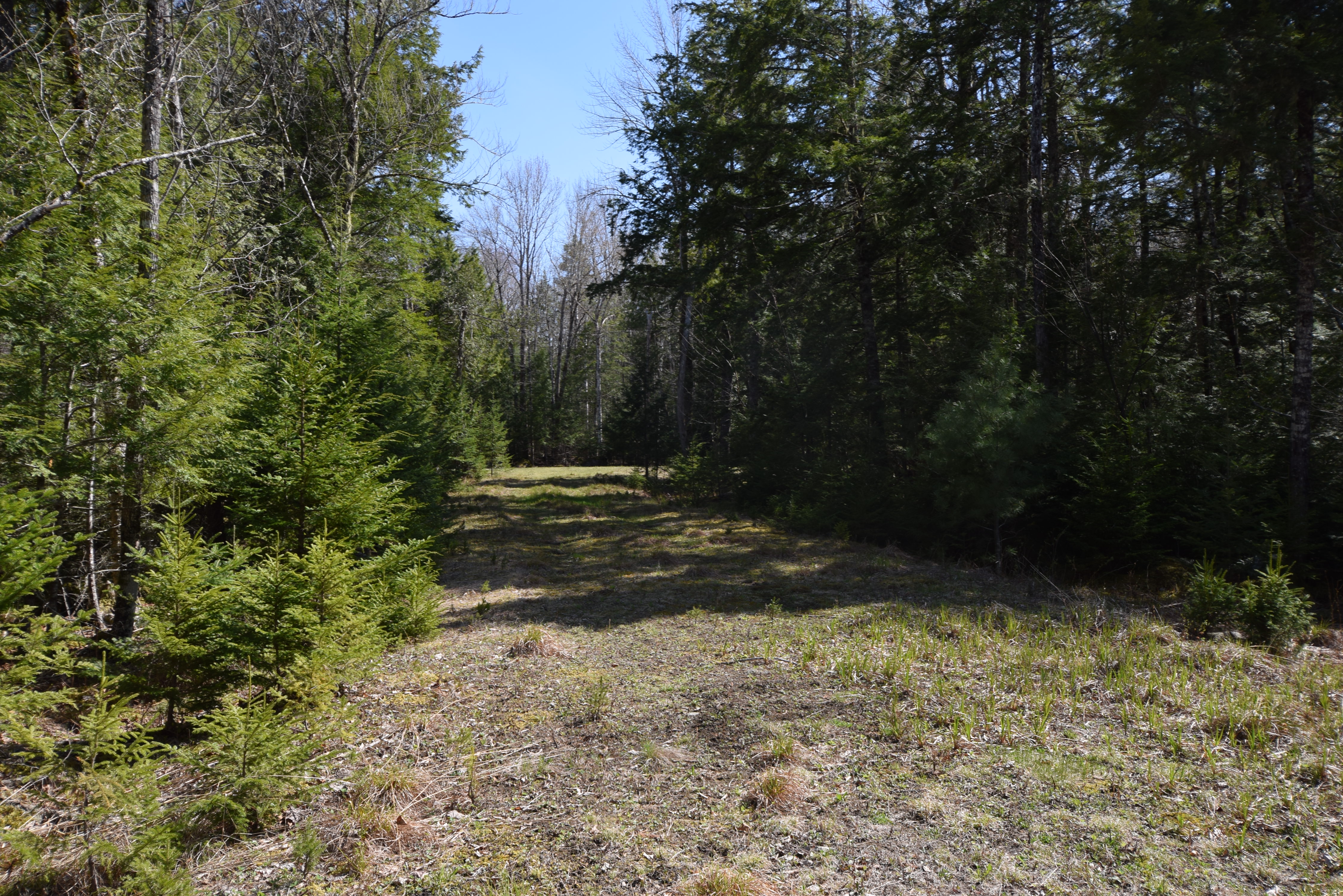 Long Lake Lot
