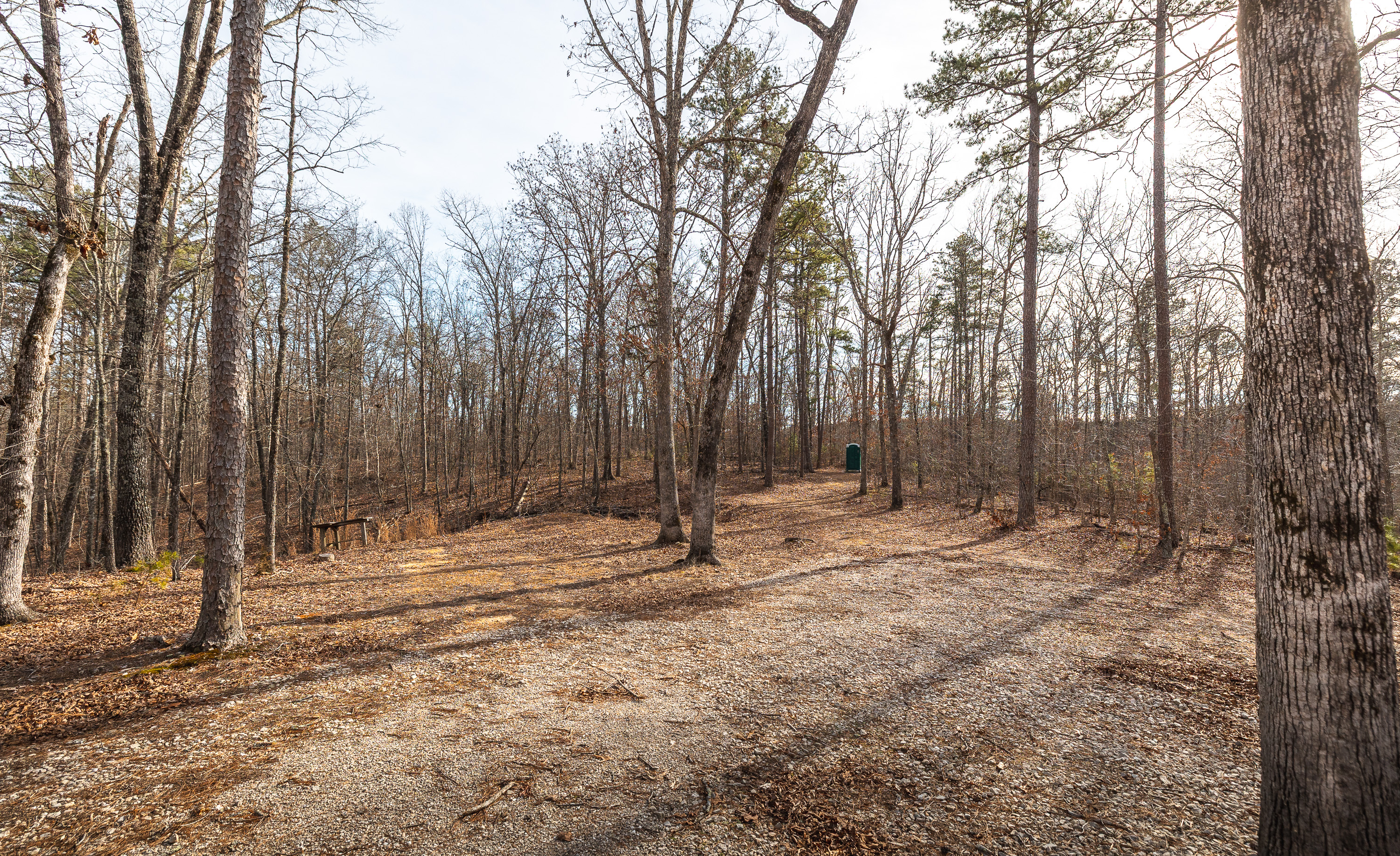 Curly Hole Camp at Peterball Spring