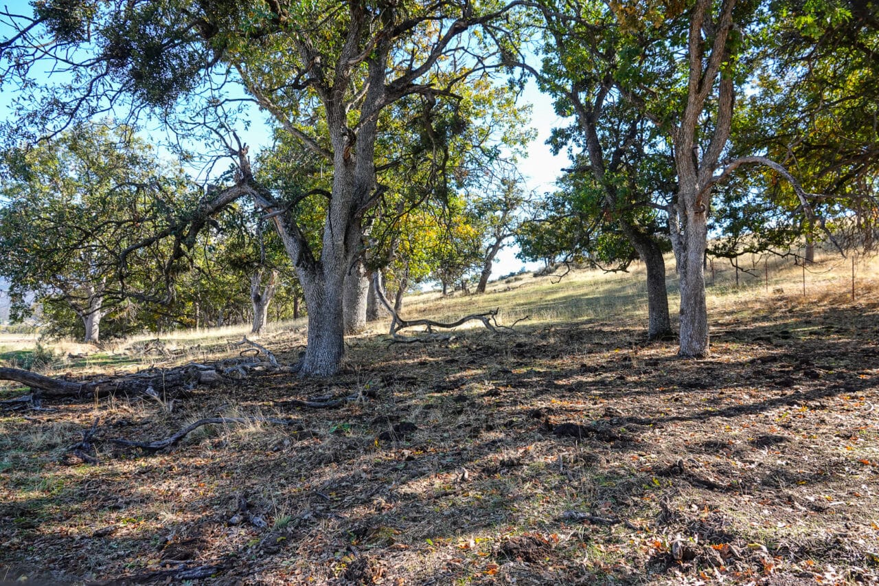 Listing Image 49