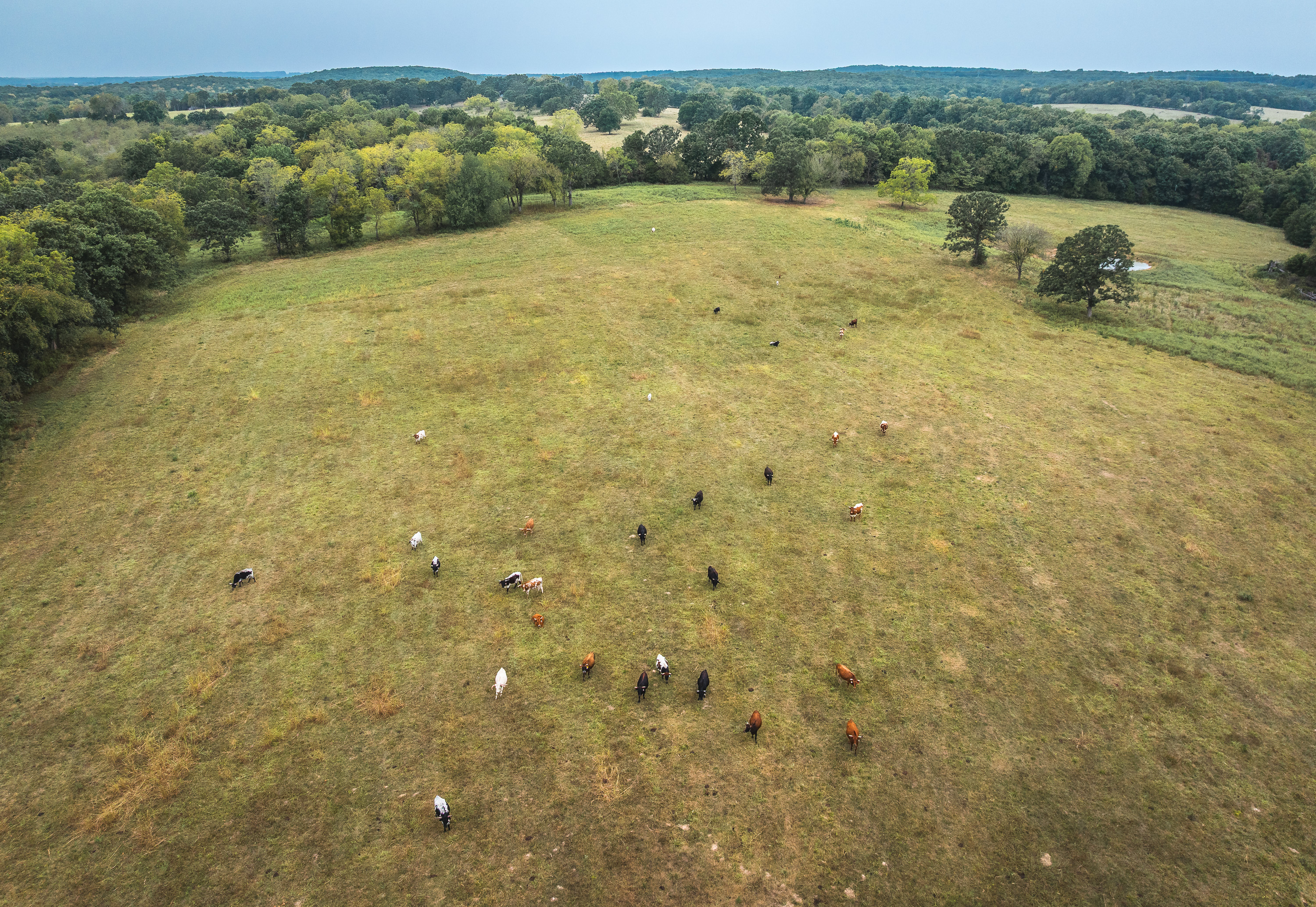 Twin Creek Farm
