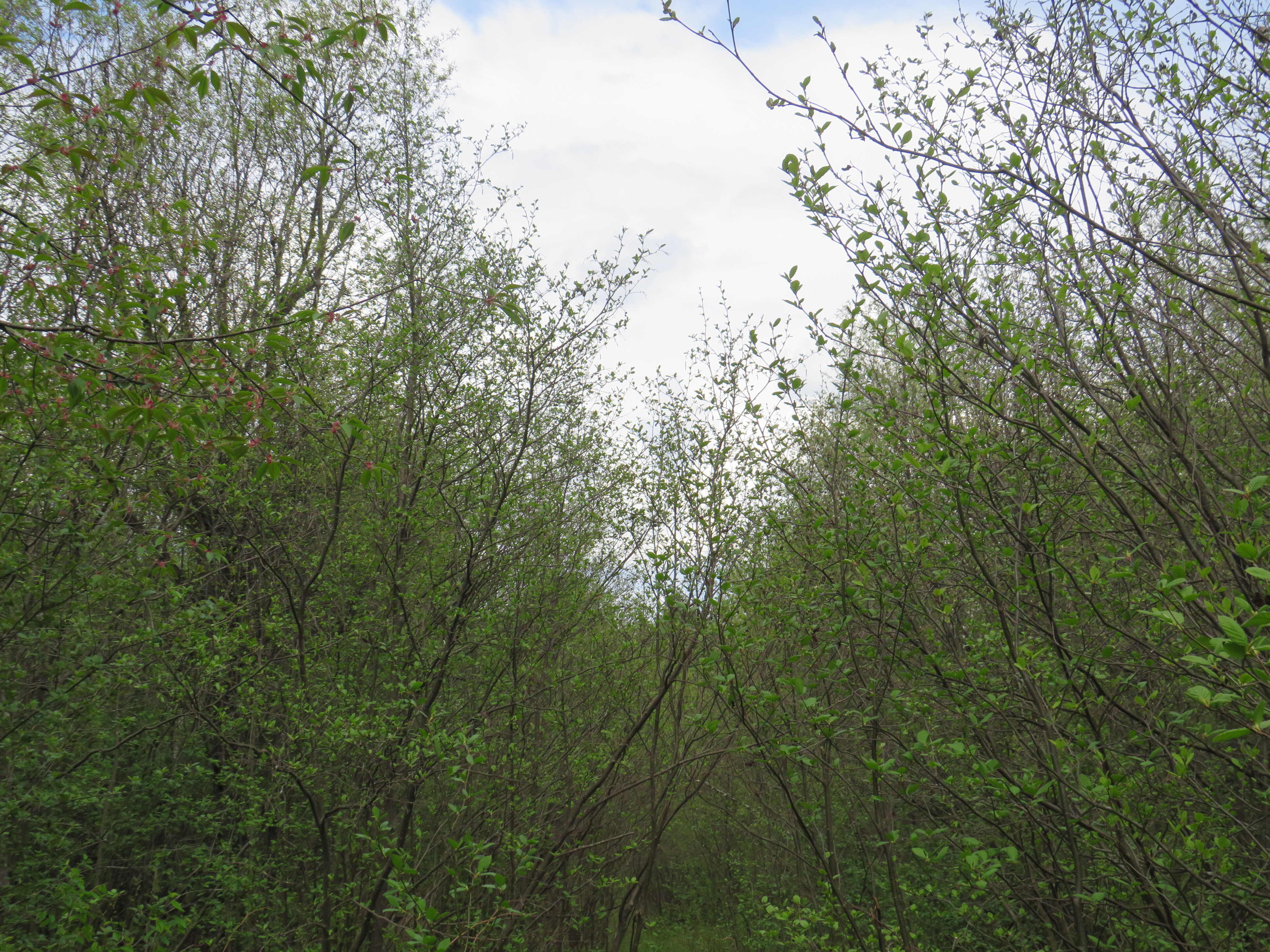 160 Acre Wilderness Retreat 50175391