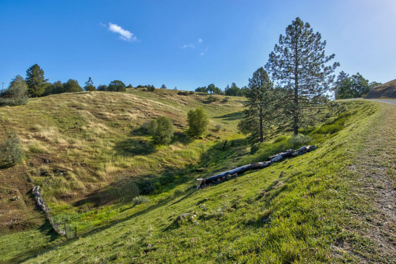 Trembath Mountain Vista