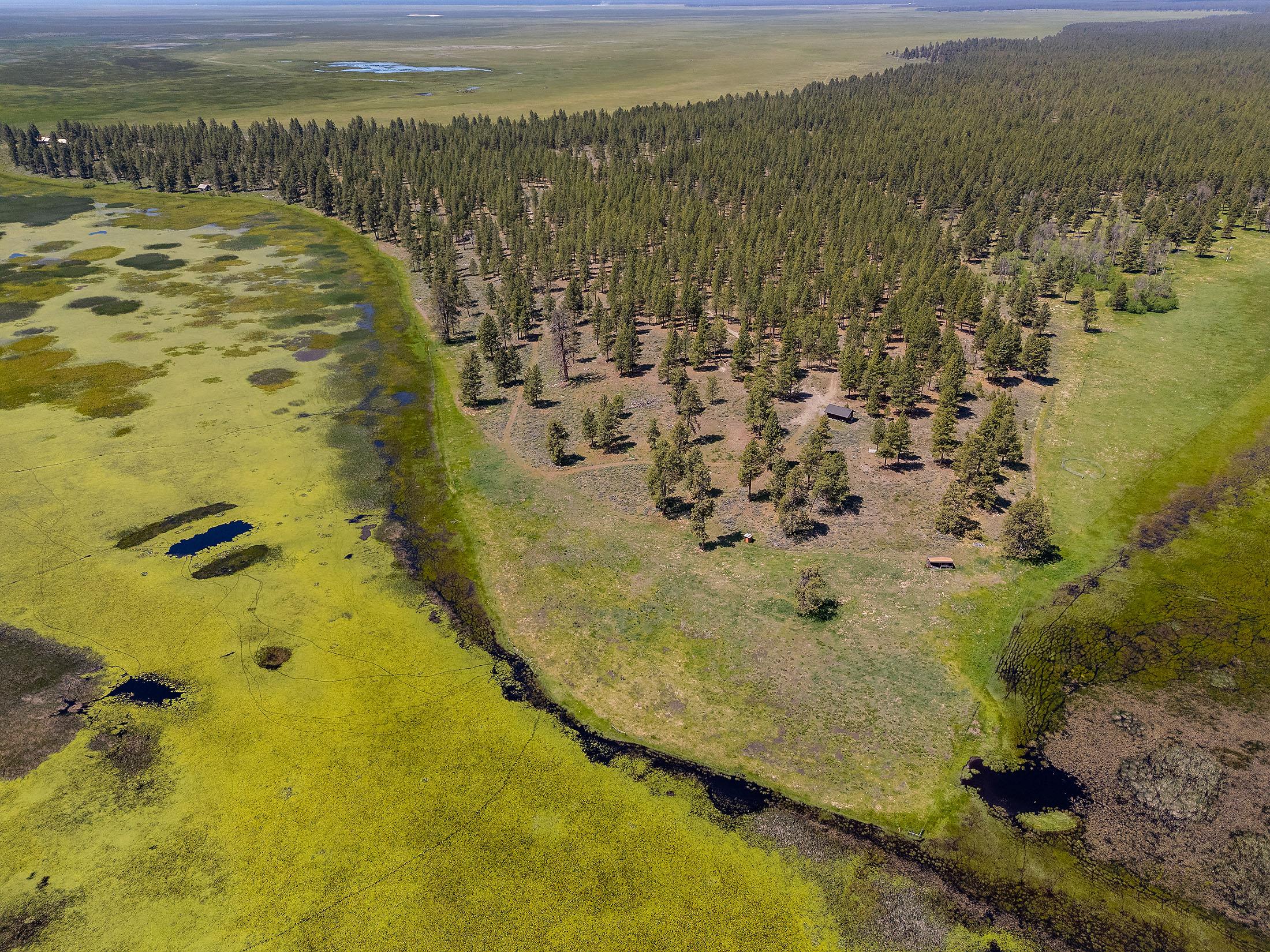 Klamath Marsh Retreat