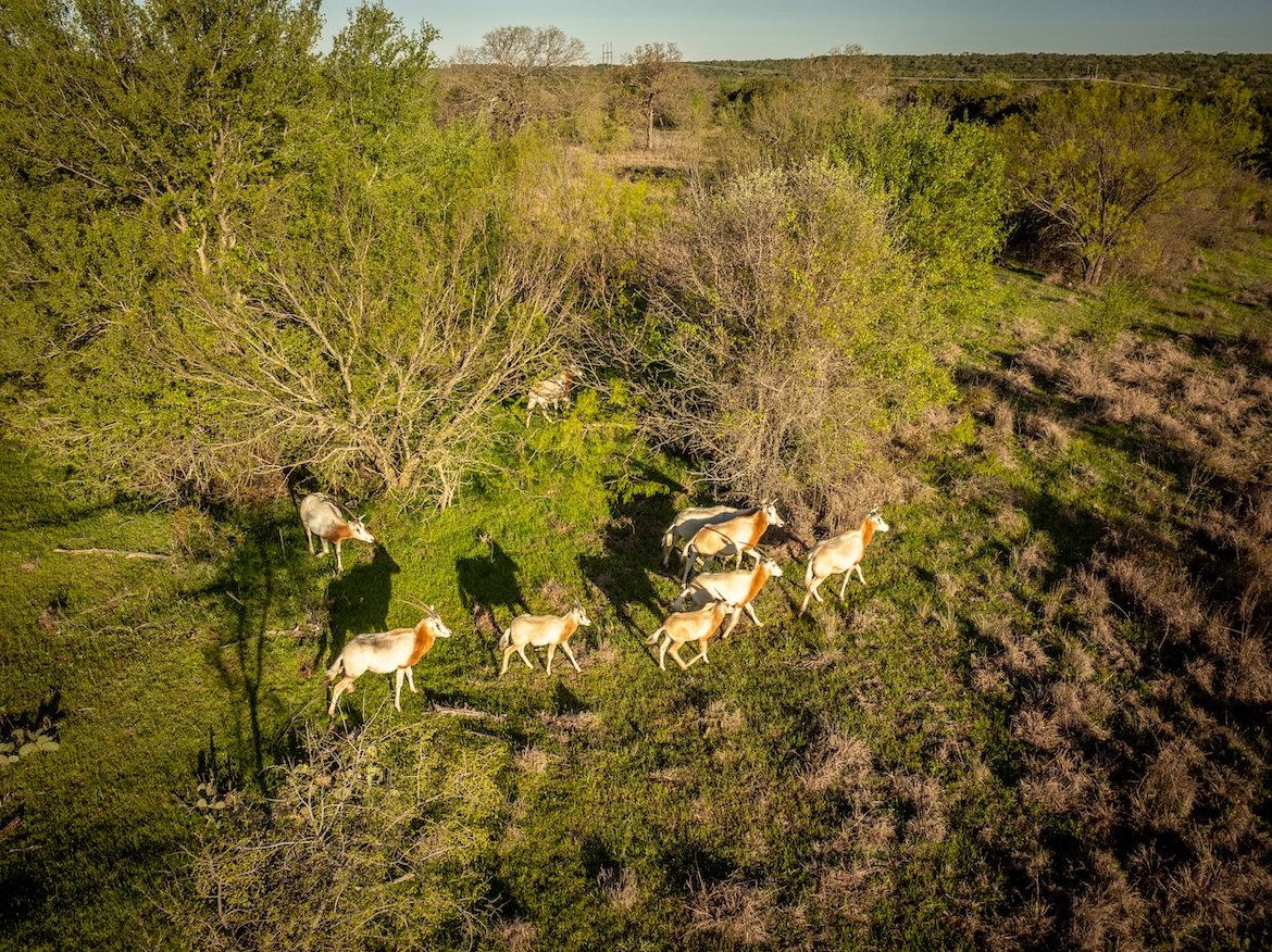 LAKEFRONT LEGACY RANCH