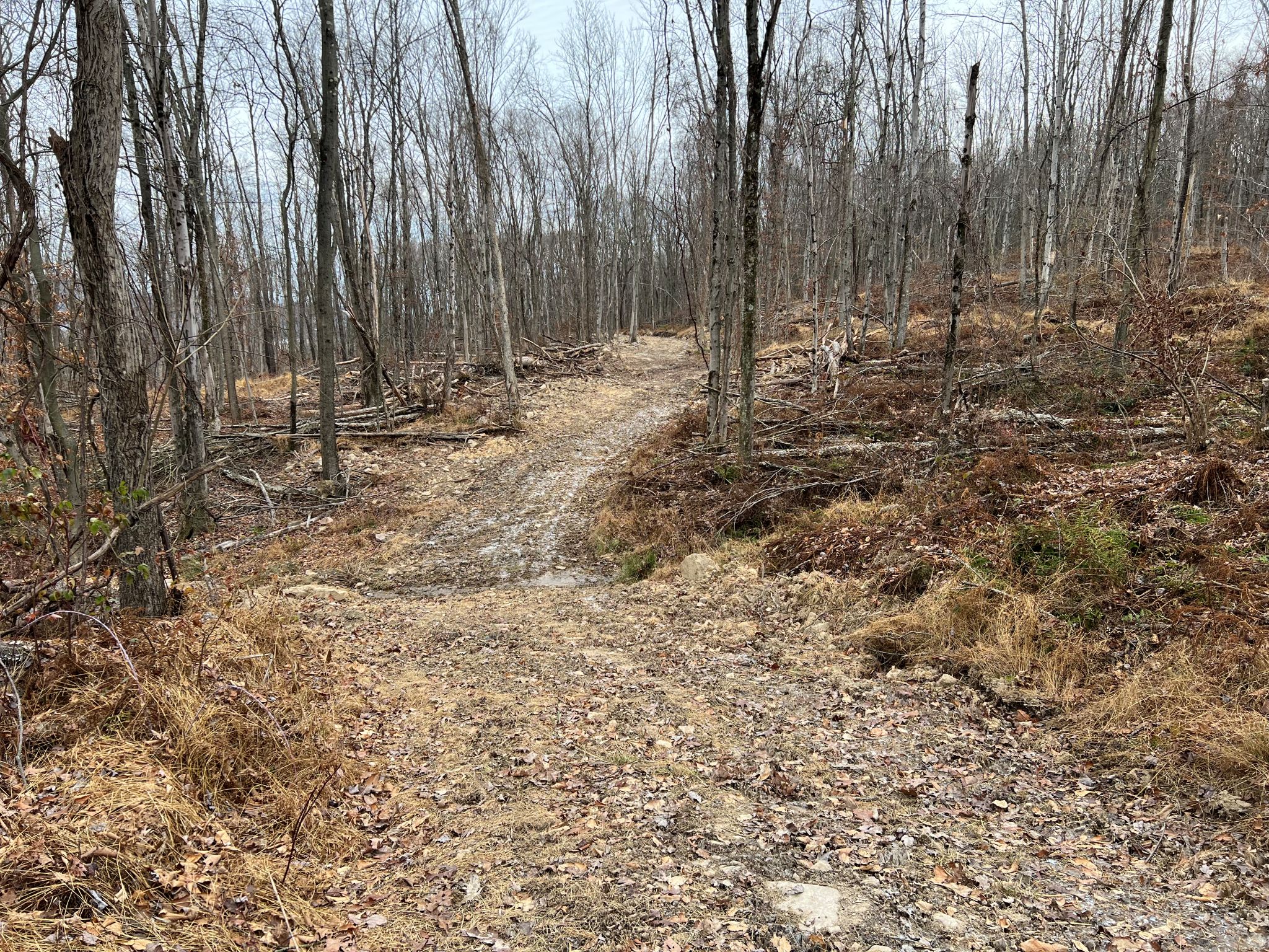 Listing Image 17