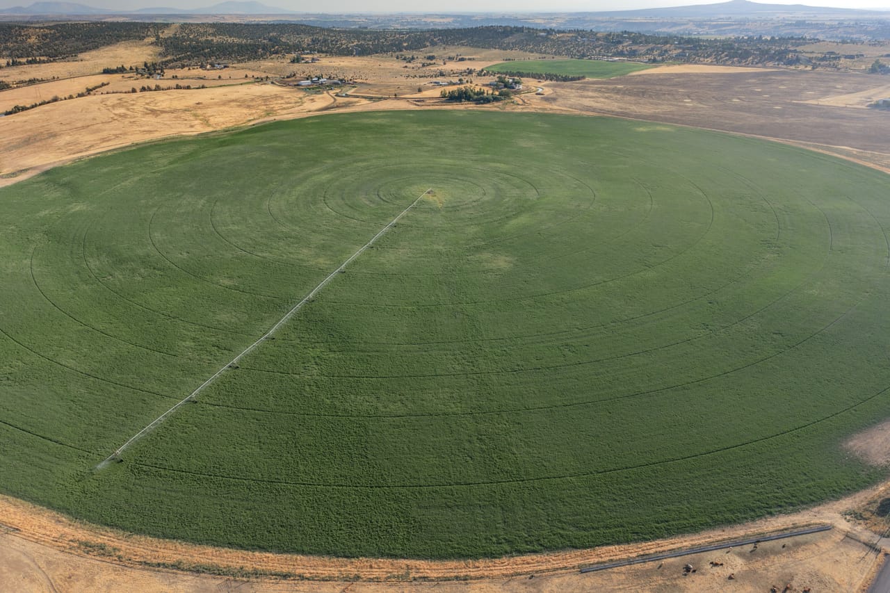 NE Cherry Lane - Productive Irrigated Farm for Sale