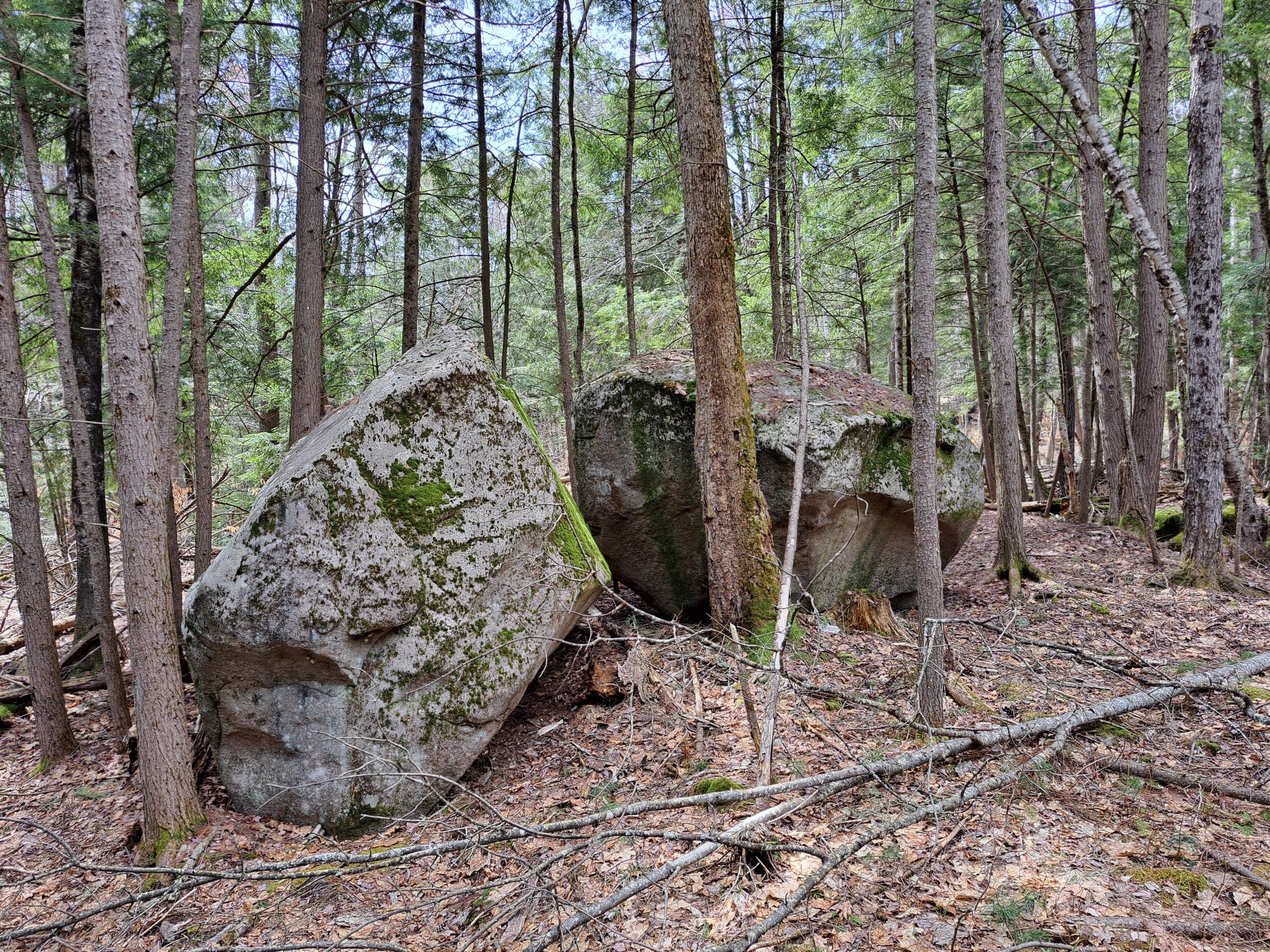 Listing Image 24