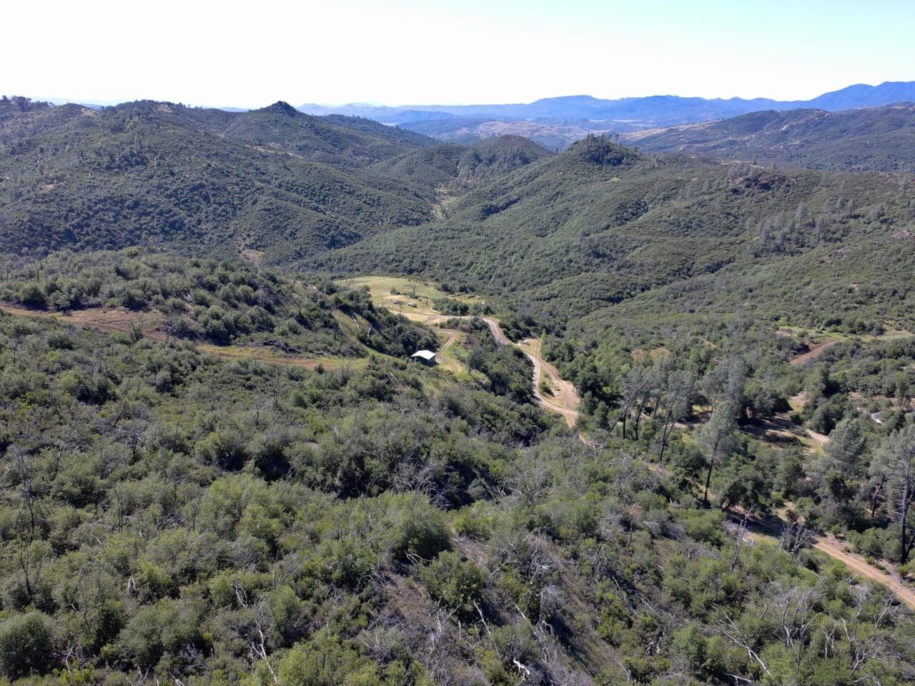 Listing Image 53