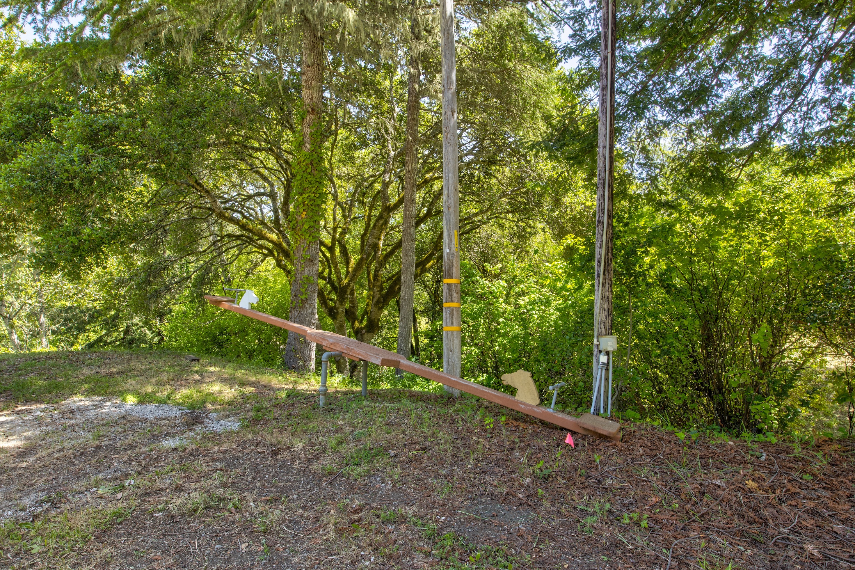 San Gregorio Creekside Farm