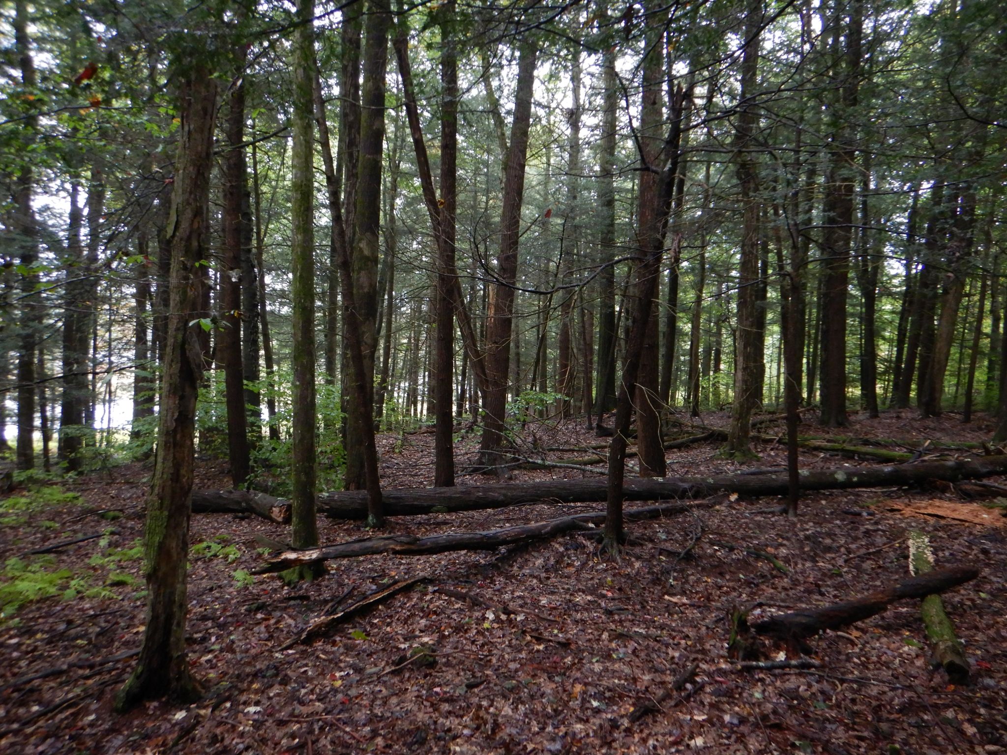 Listing Image 37