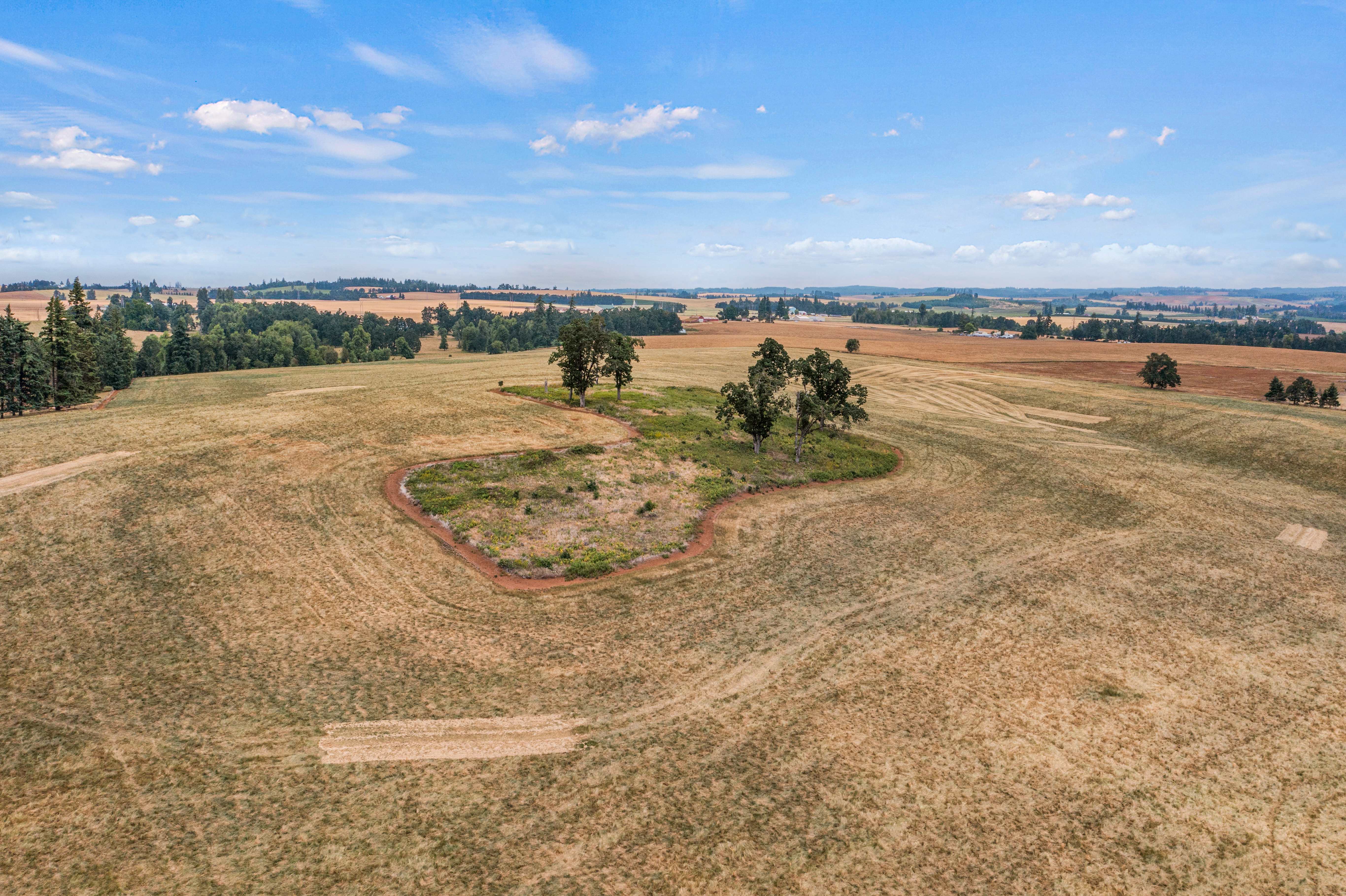 Sublimity 152 — Productive Willamette Valley Farm for Sale with Creek Frontage and Homesite Potential