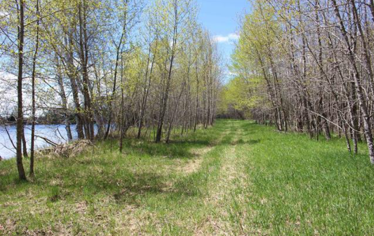 Listing Image 13