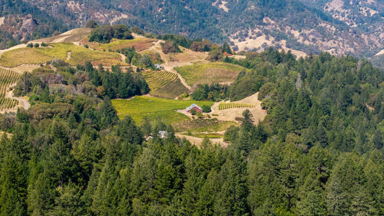 Listing Image 76