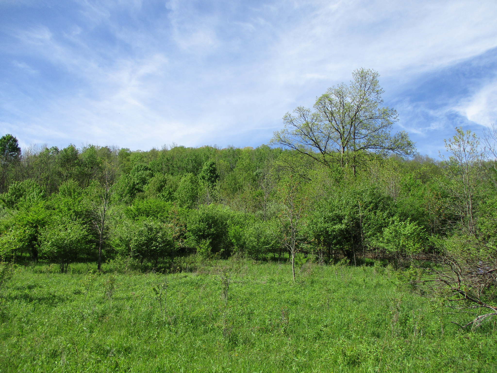 Long View Acres