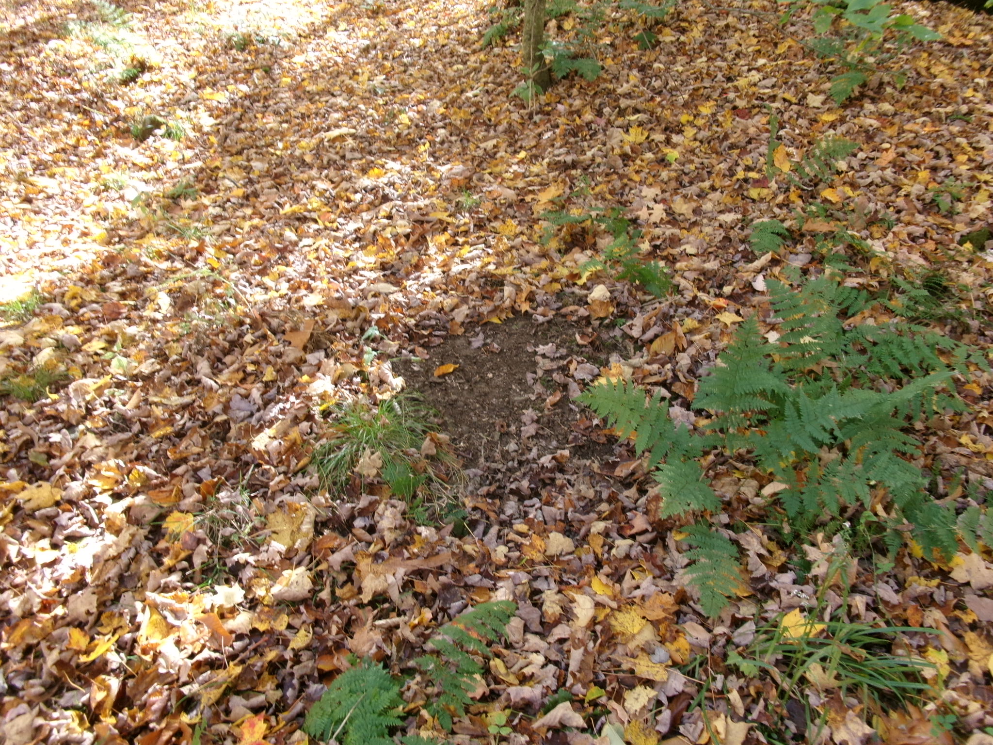 Listing Image 30