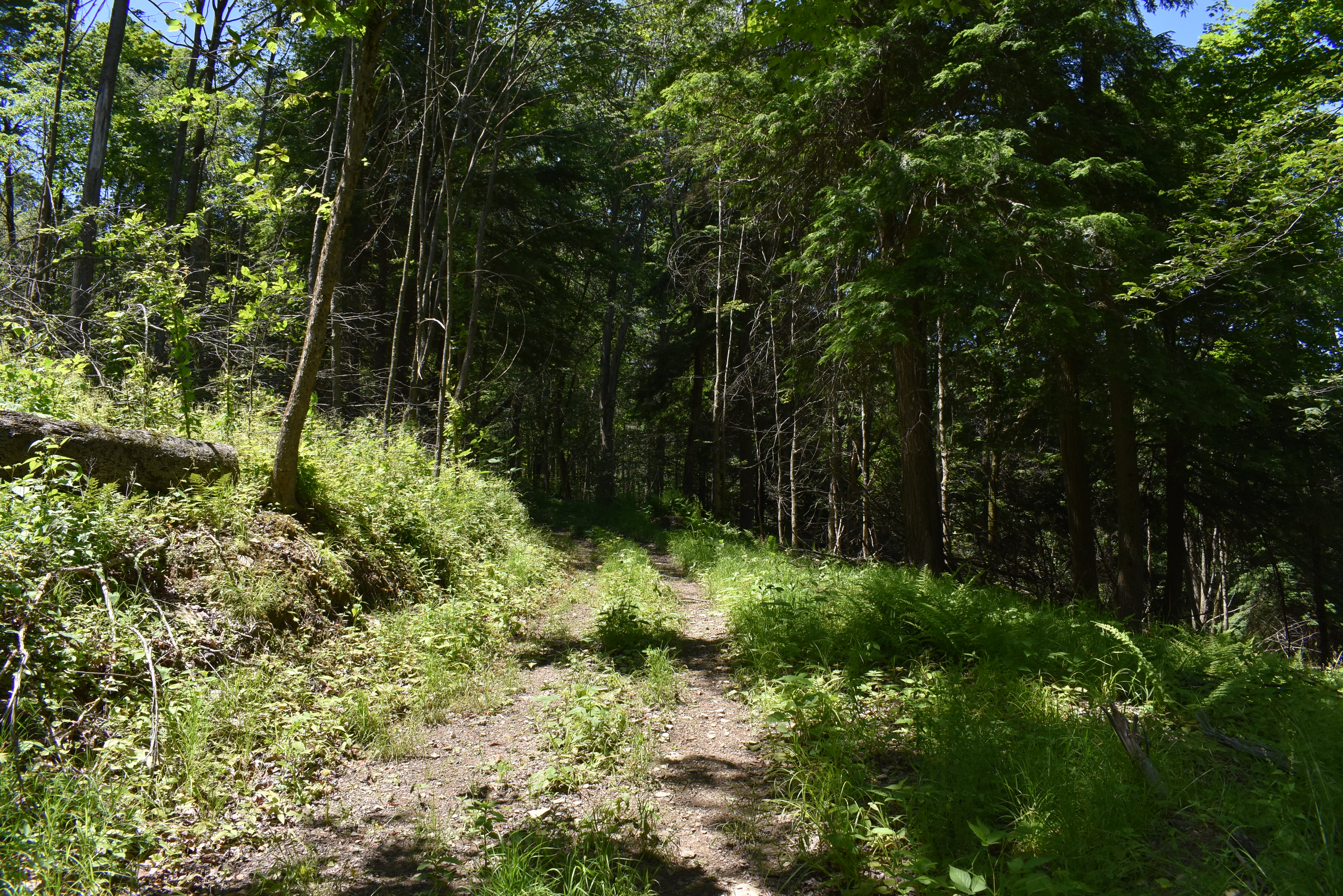 Fabulous Farrington Hollow
