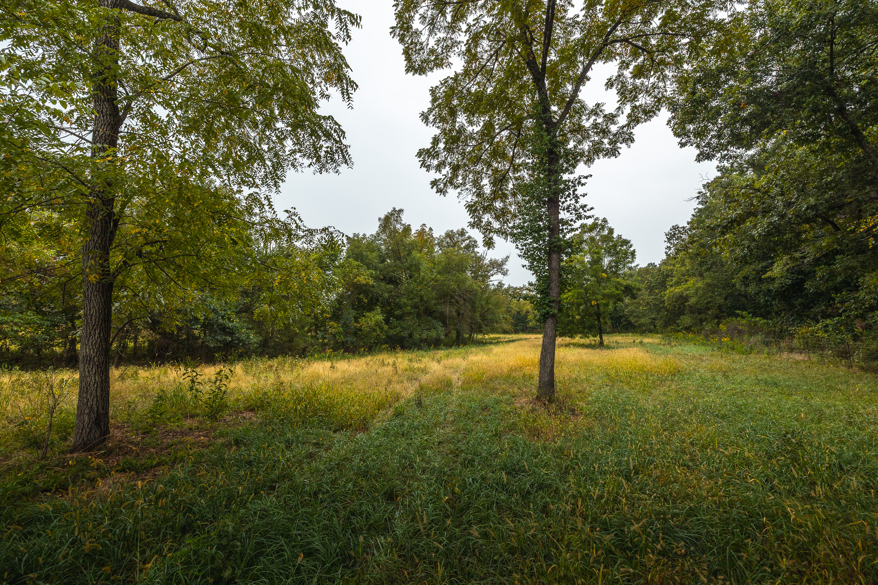 Twin Creek Farm