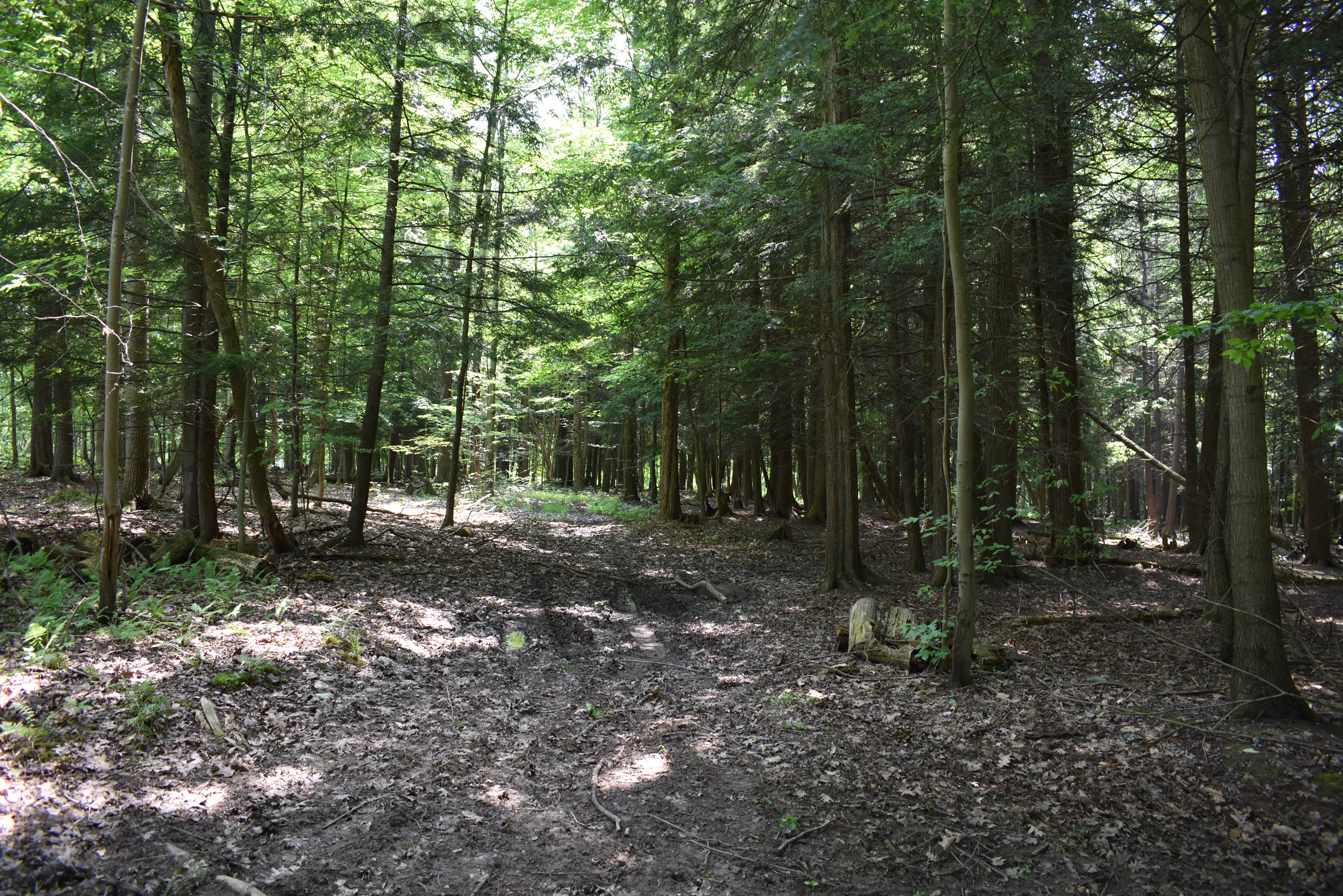 Listing Image 83
