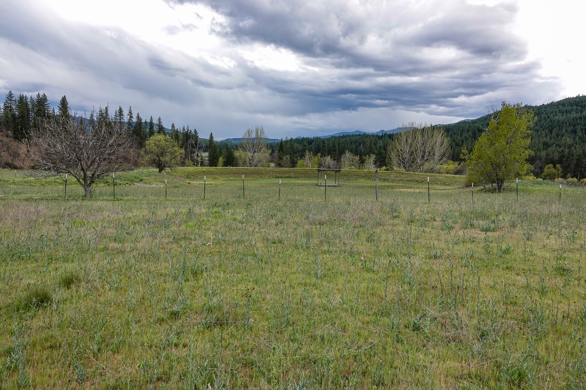 Triple D Ranch