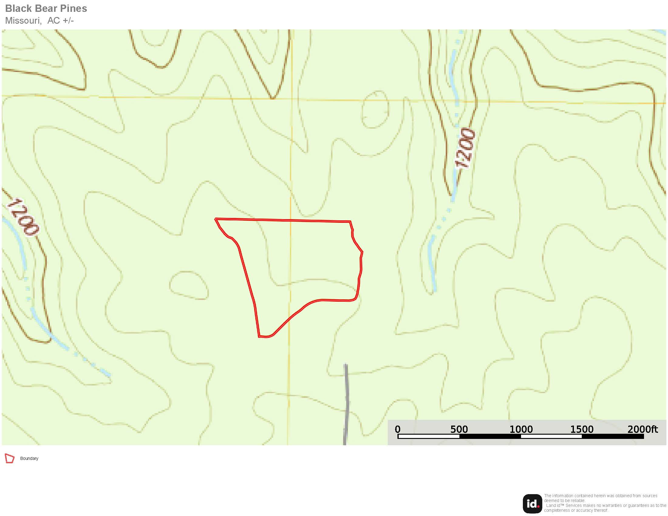 Black Bear Pines