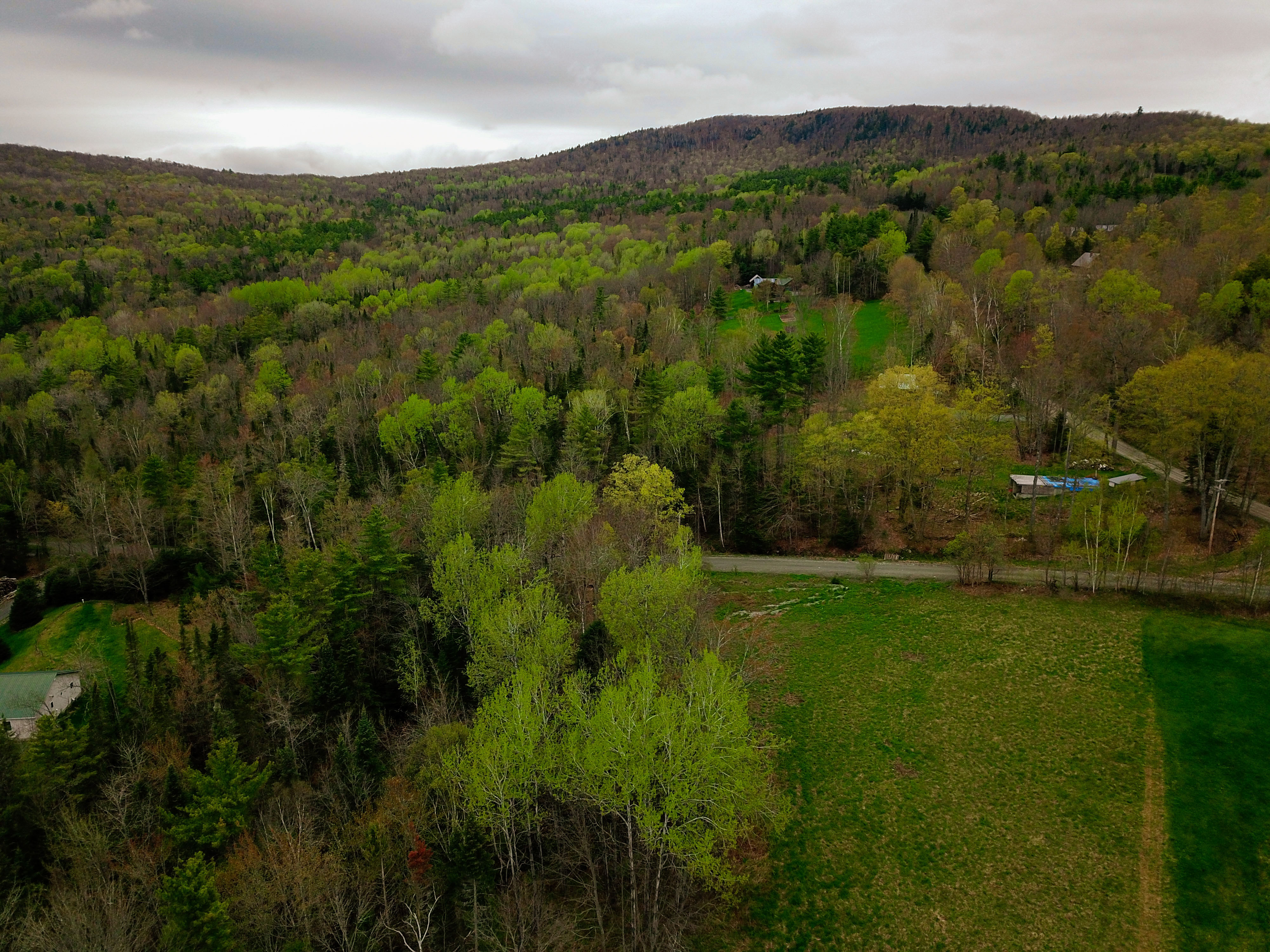 855 Campbell Rd - Waterford