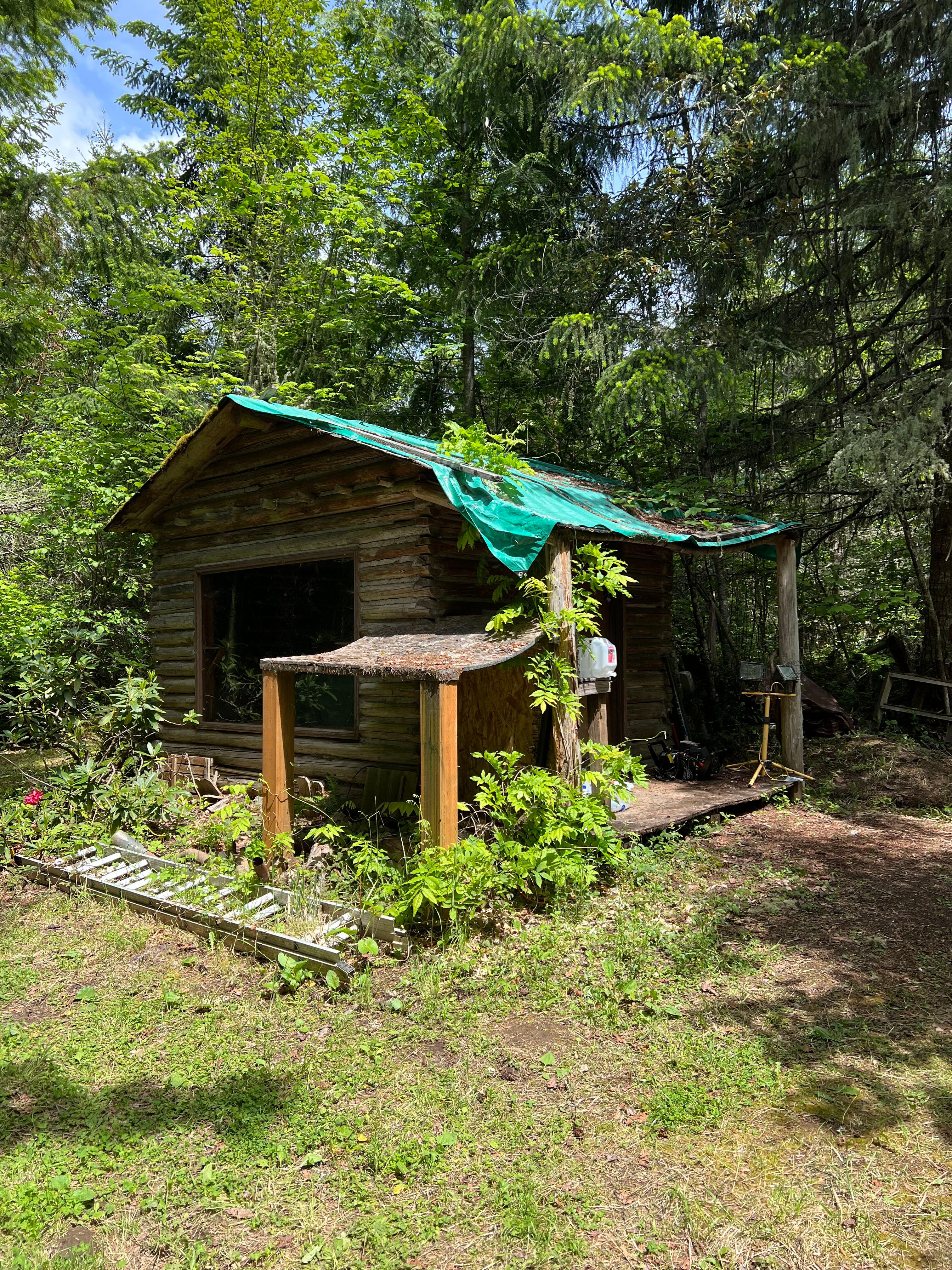 83715 Peninsula Rd Fall Creek OR