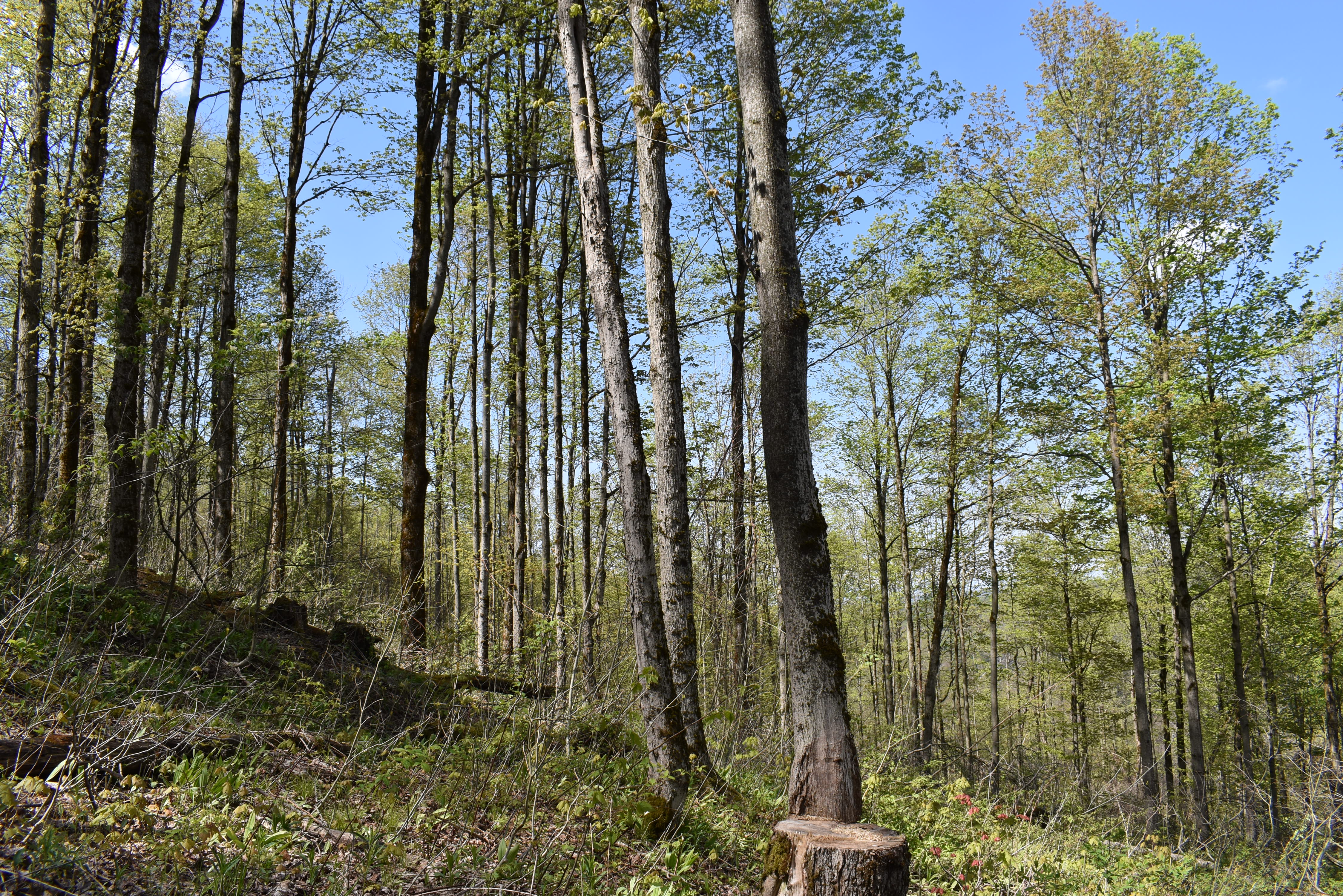 Listing Image 14