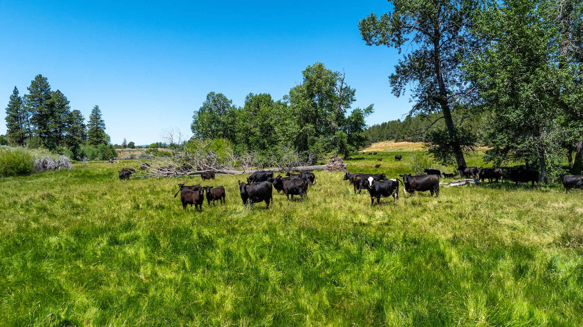 Parker Creek Ranch