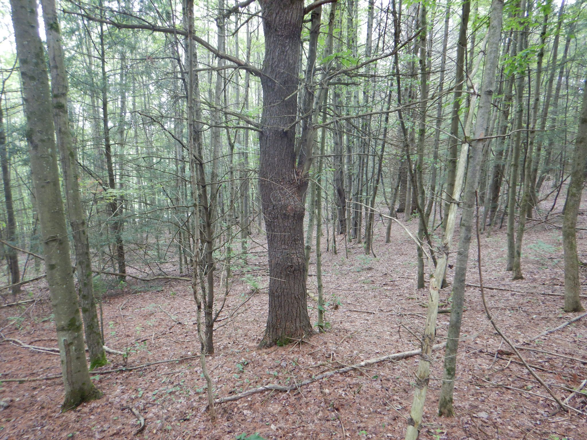 Listing Image 29