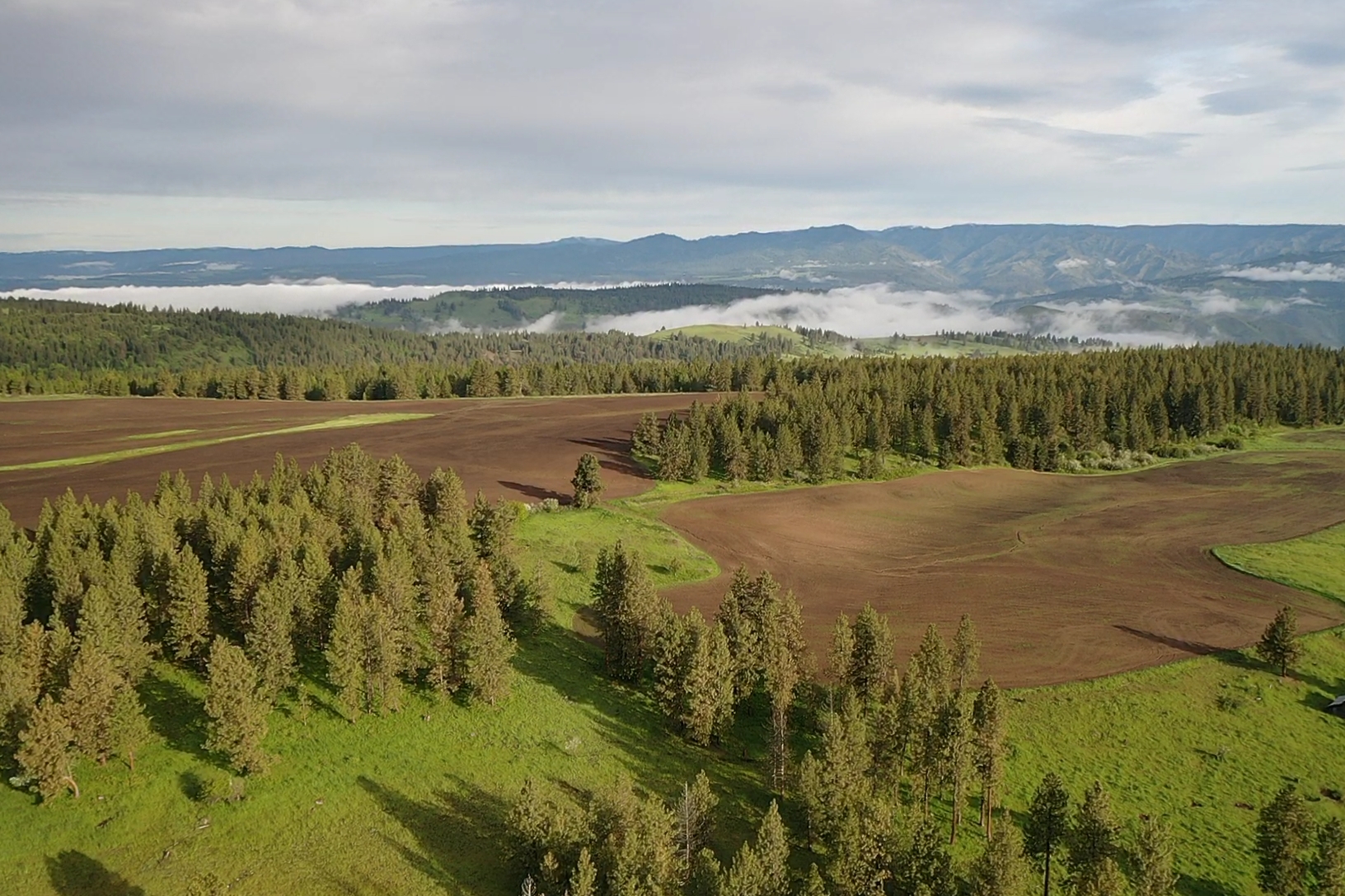 Buford Ridge Ranch