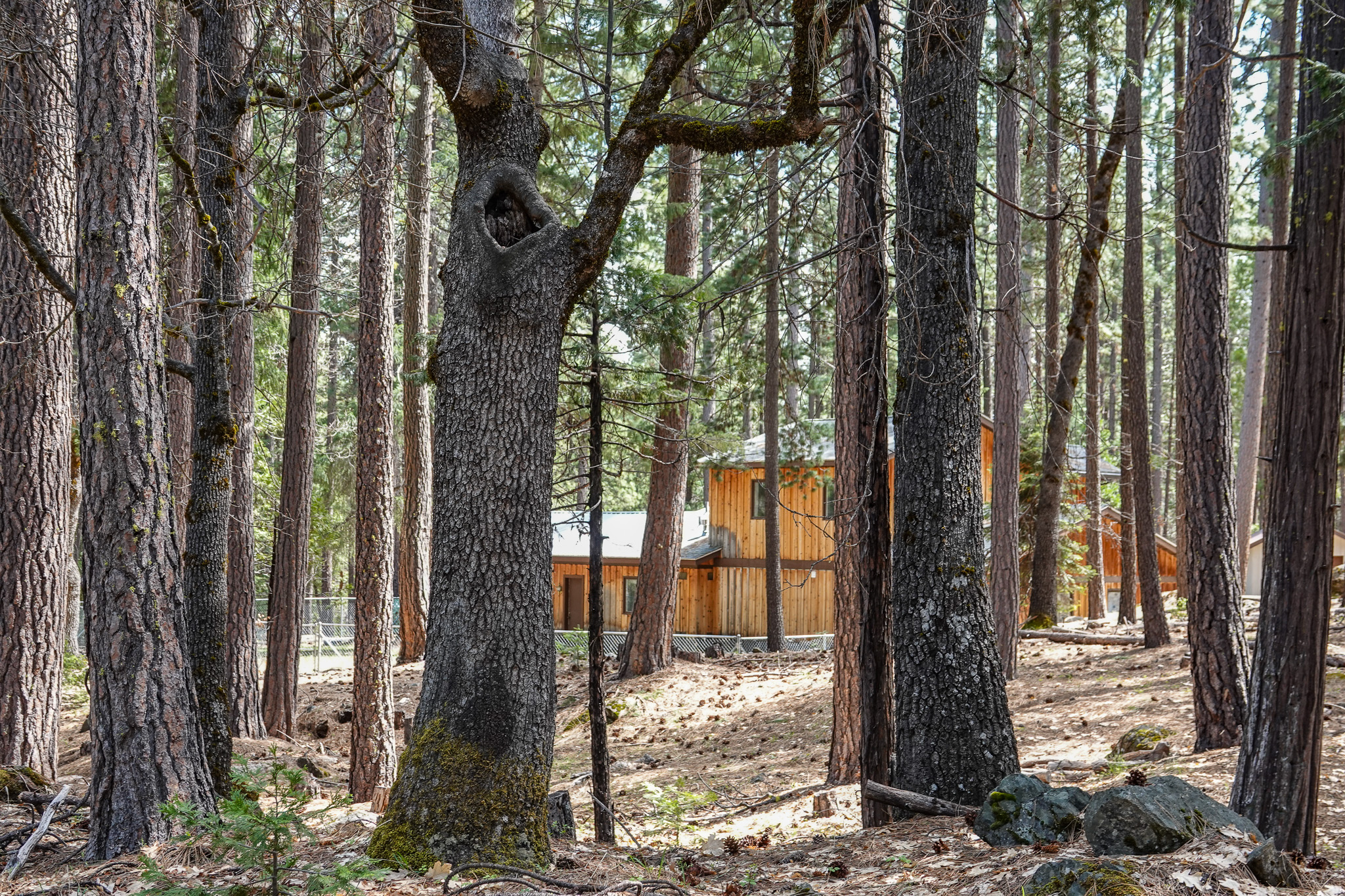 Sniktaw Creek House