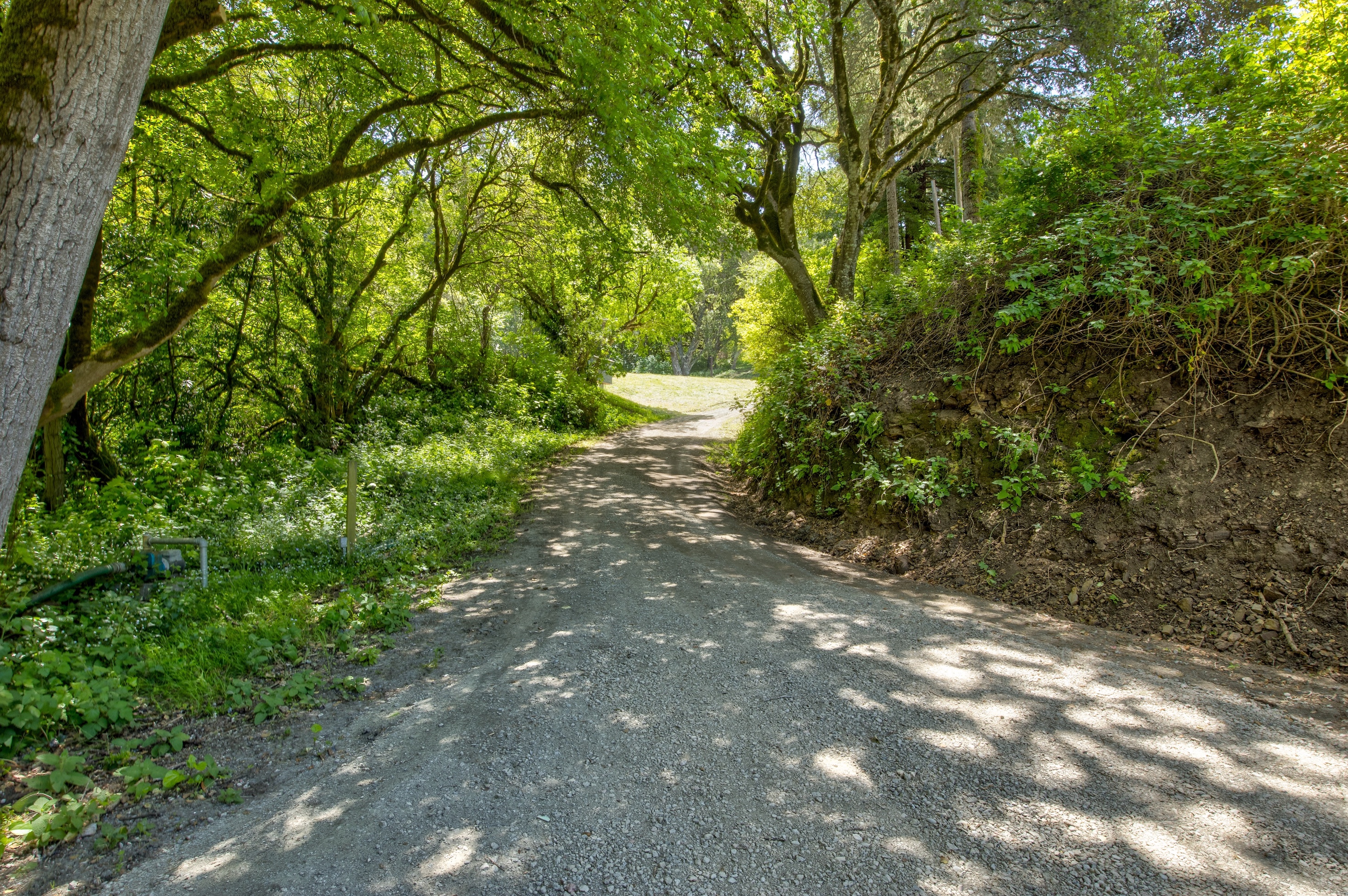 San Gregorio Creekside Farm