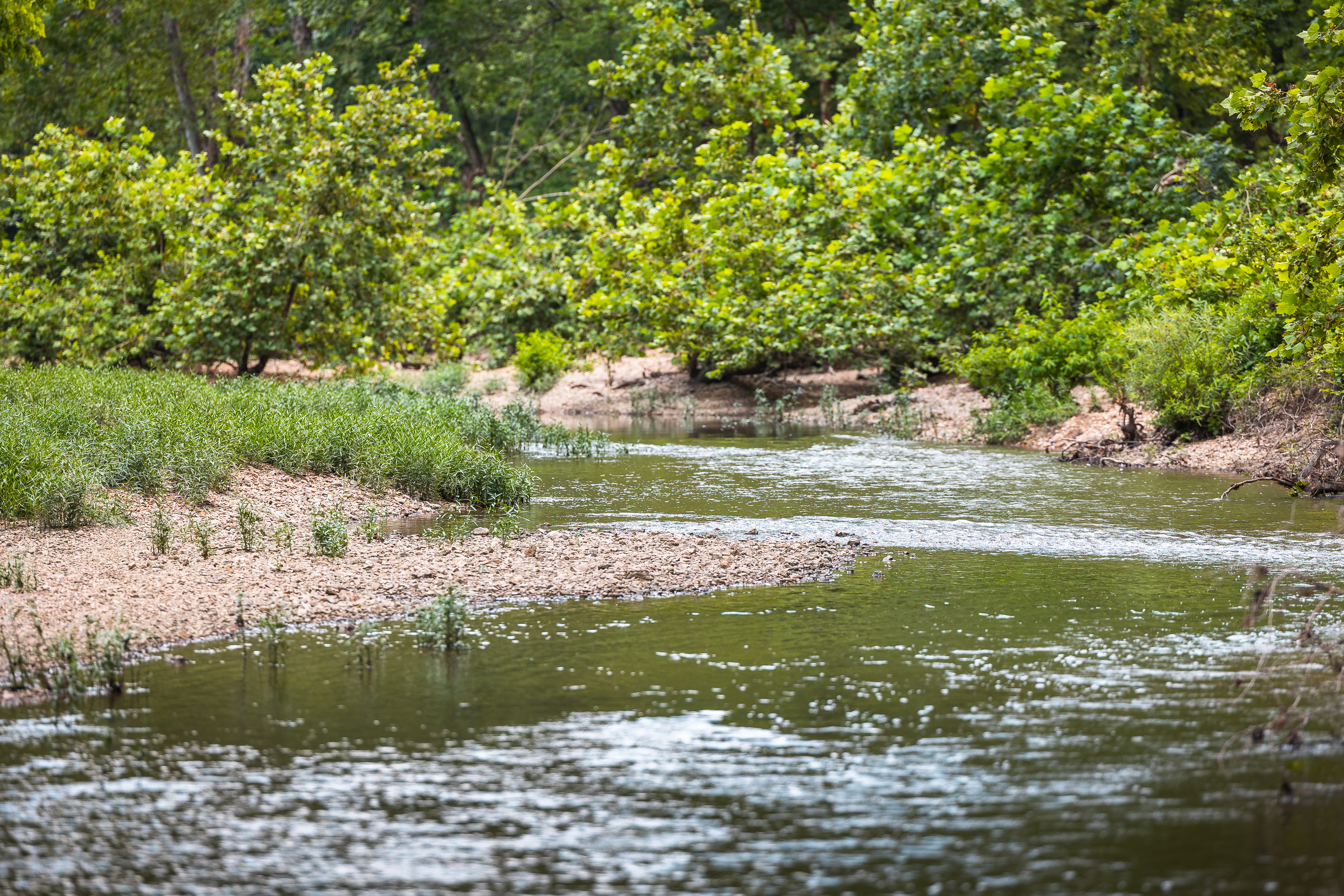 Gasconade Angus Ranch