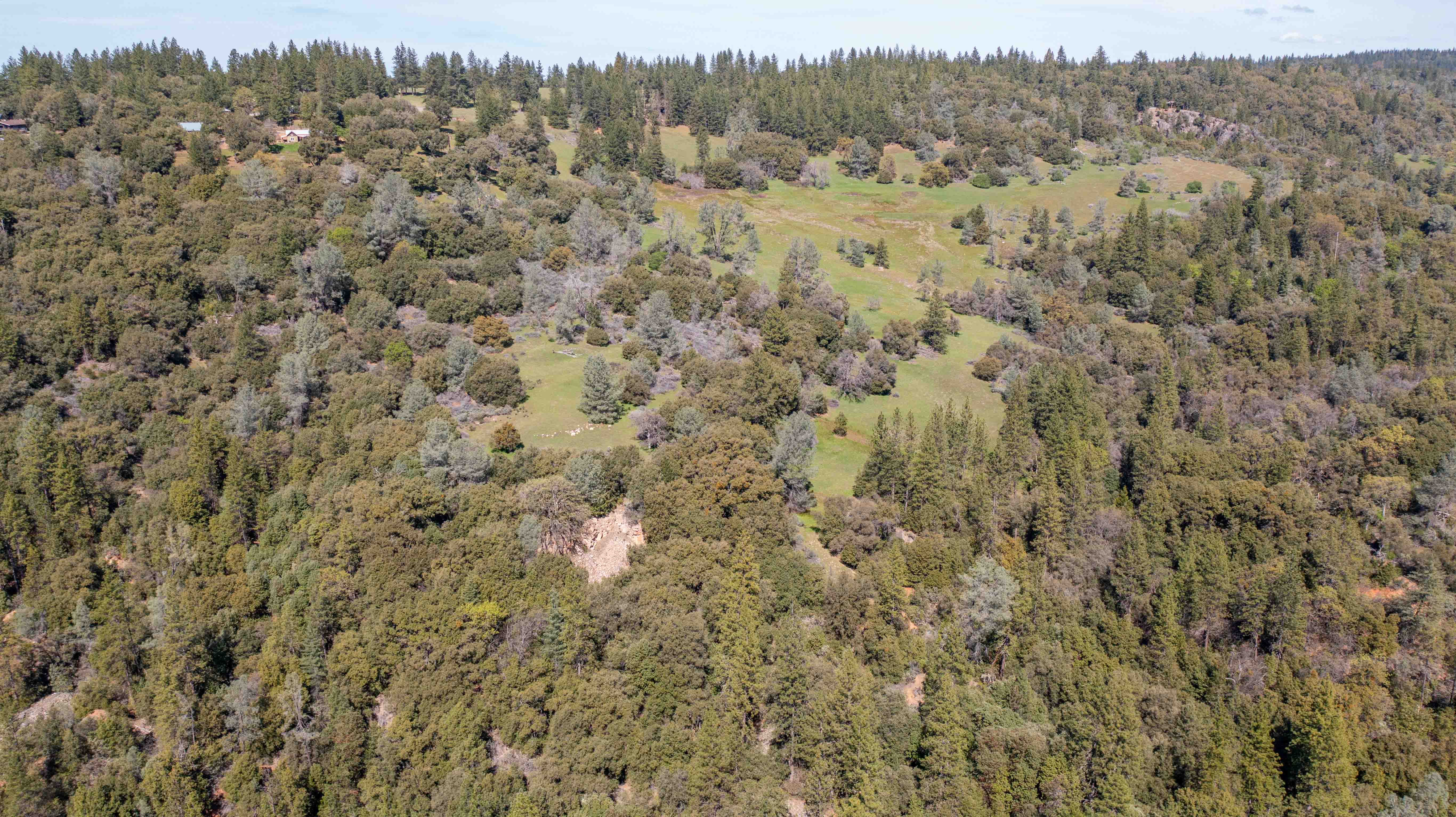 Listing Image 36