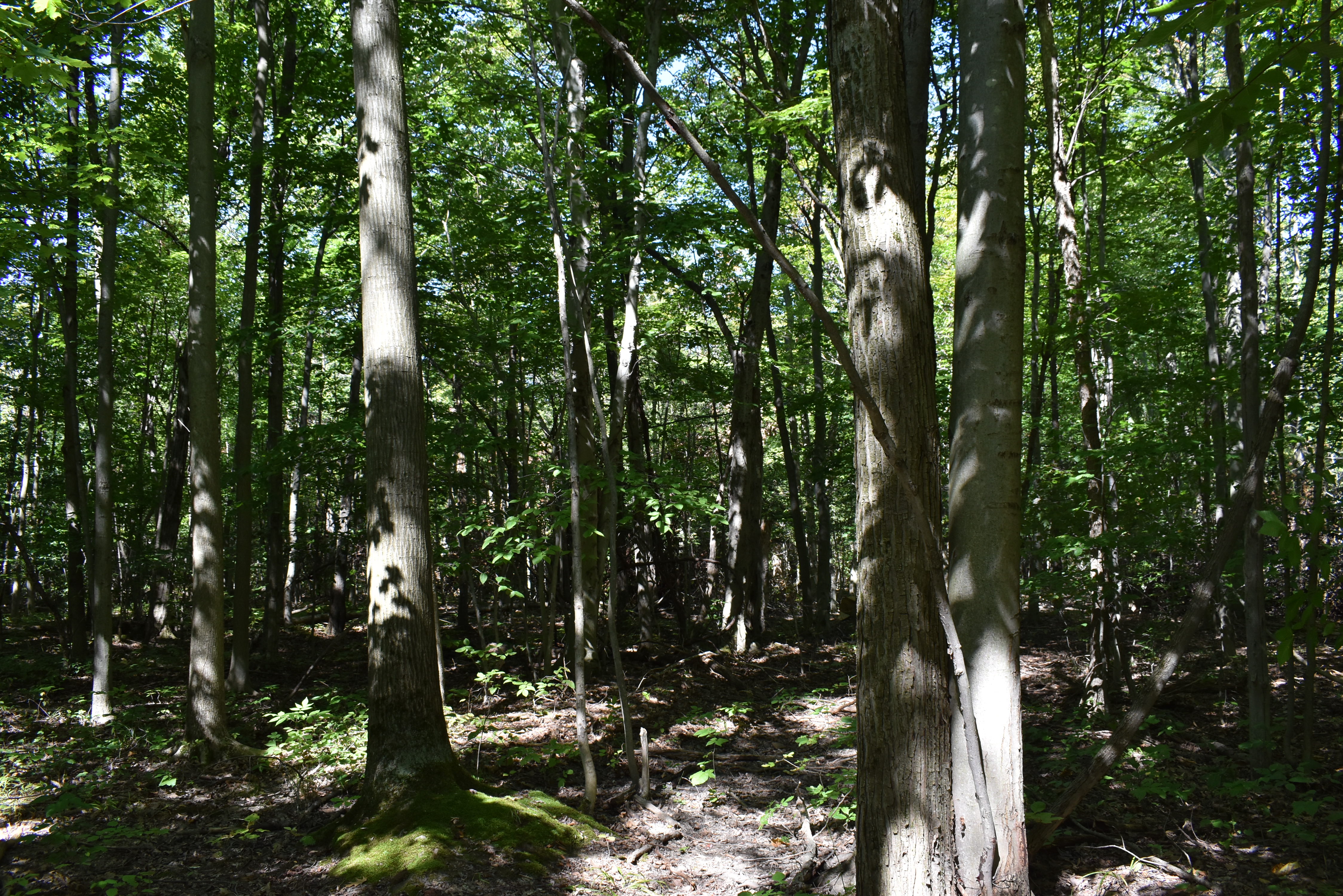 Hunter's Hidden Treasure