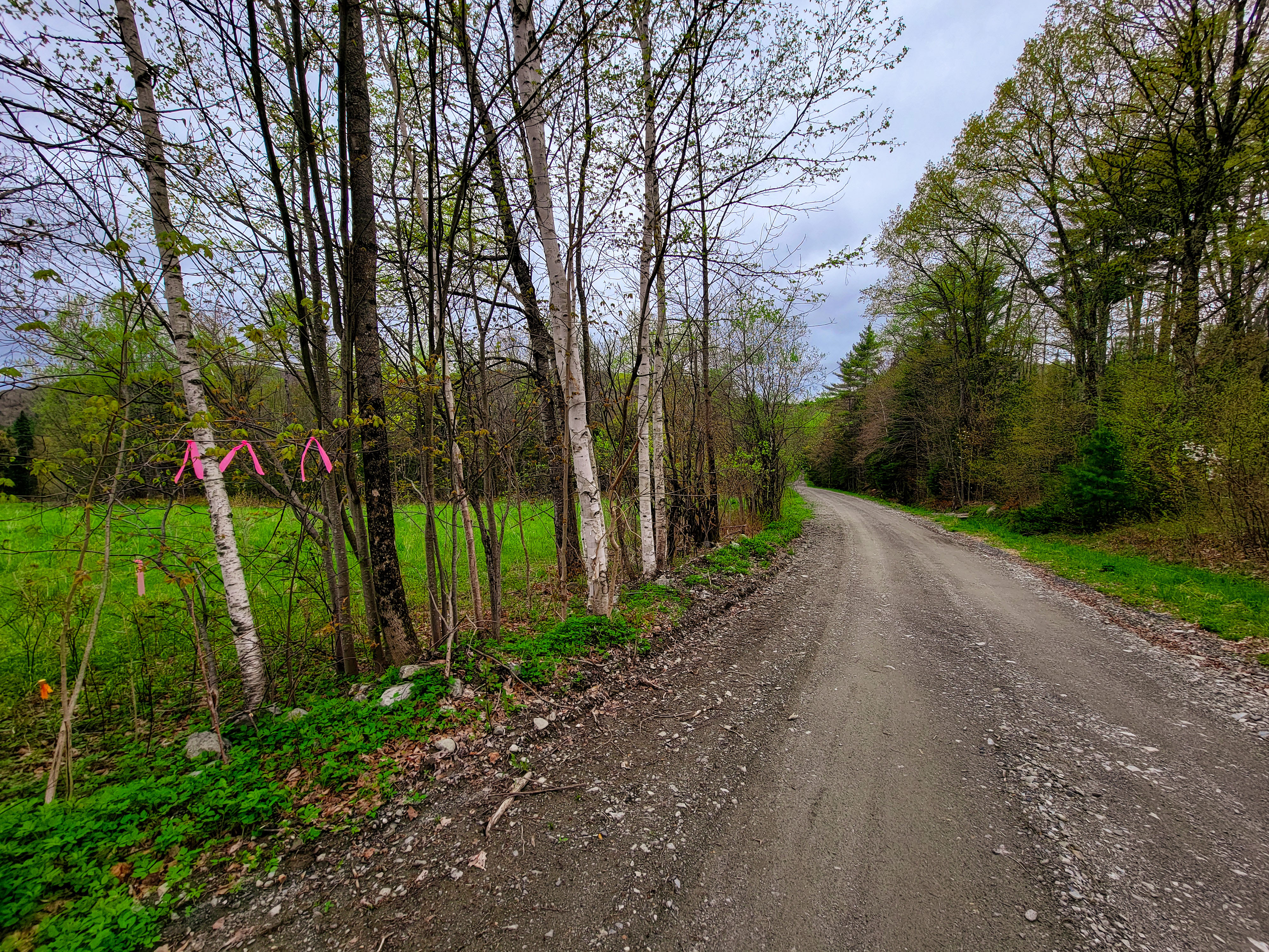 855 Campbell Rd - Waterford
